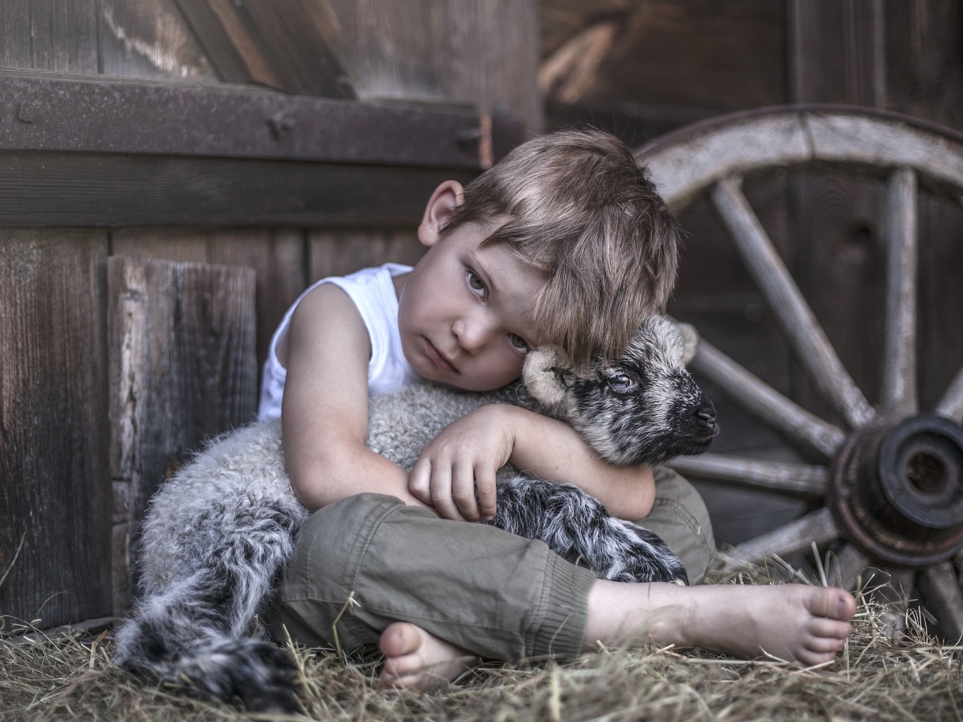 Маленький грустный мальчик обнимает ягненка