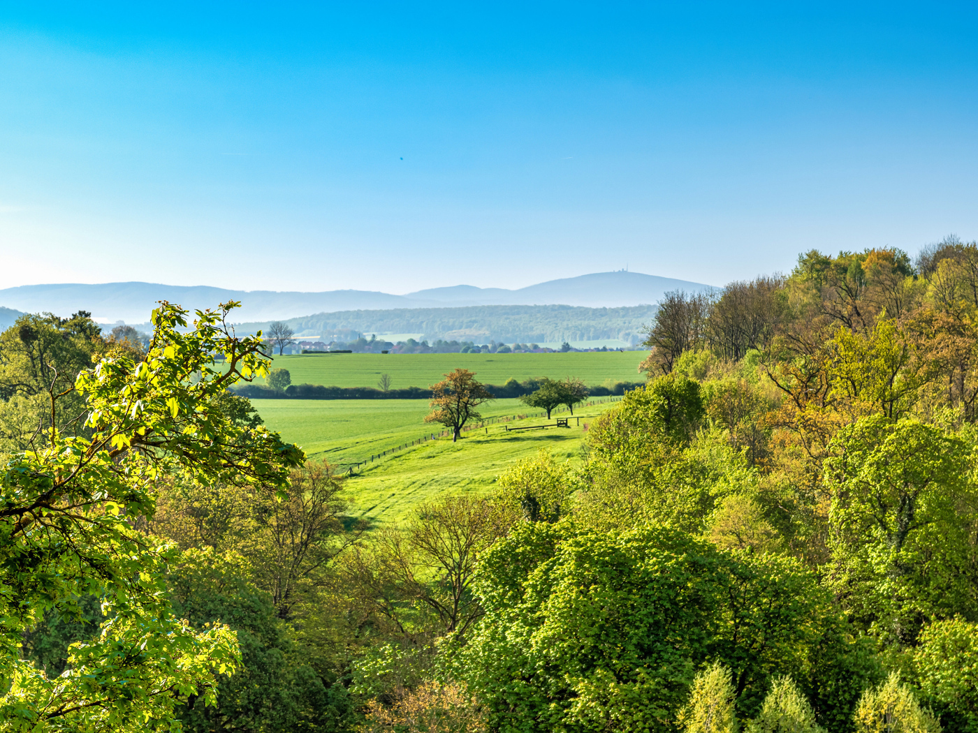 Зеленые деревья под голубым небом, Германия