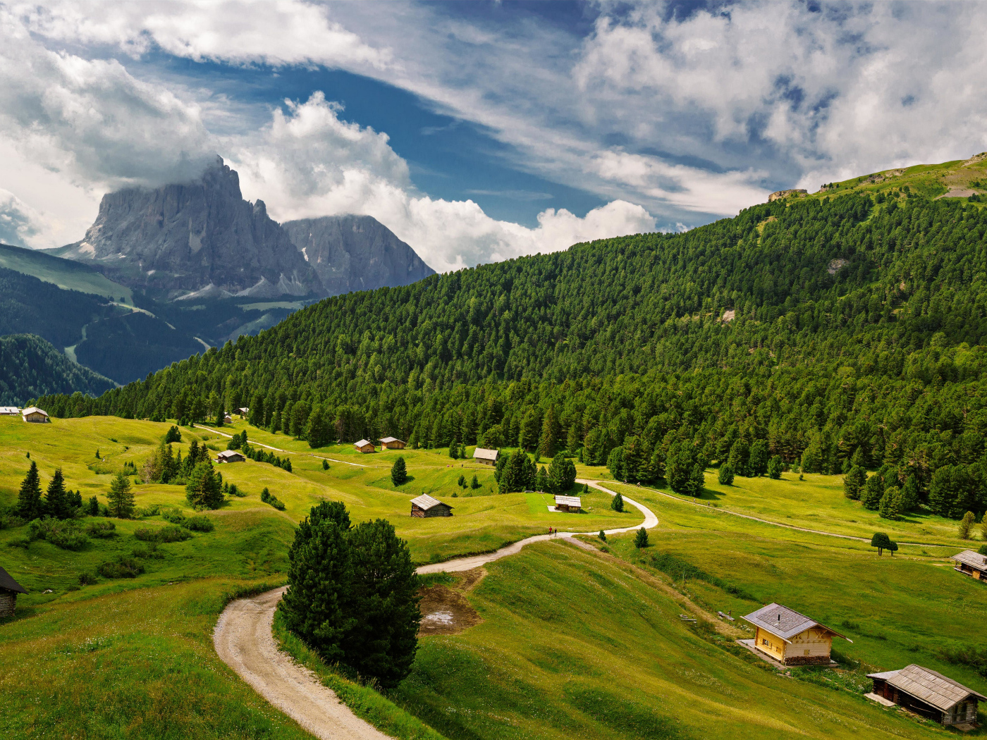 View of the forest and the alps under white clouds, Italy