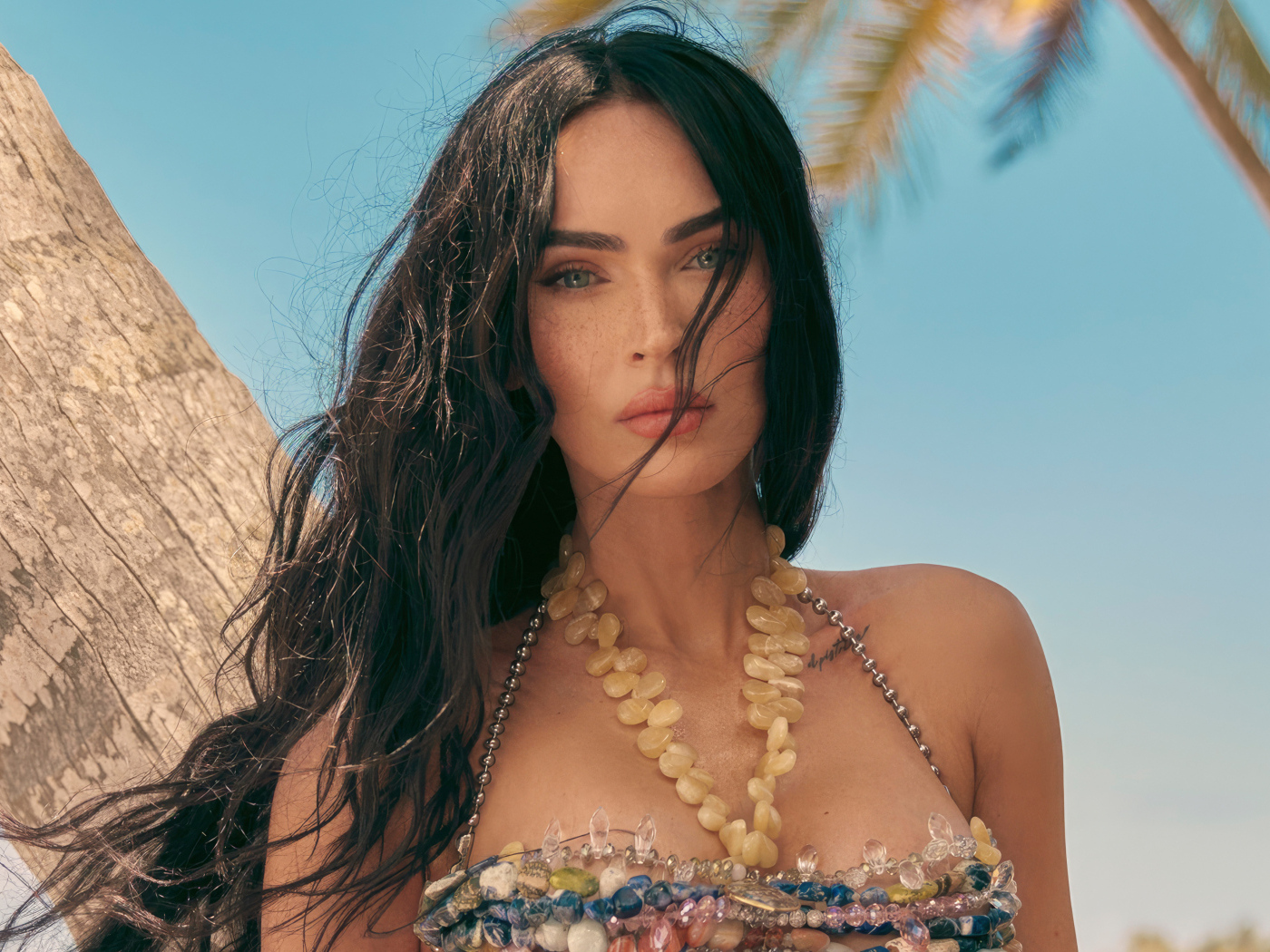 Длинноволосая брюнетка Меган Фокс на пляже