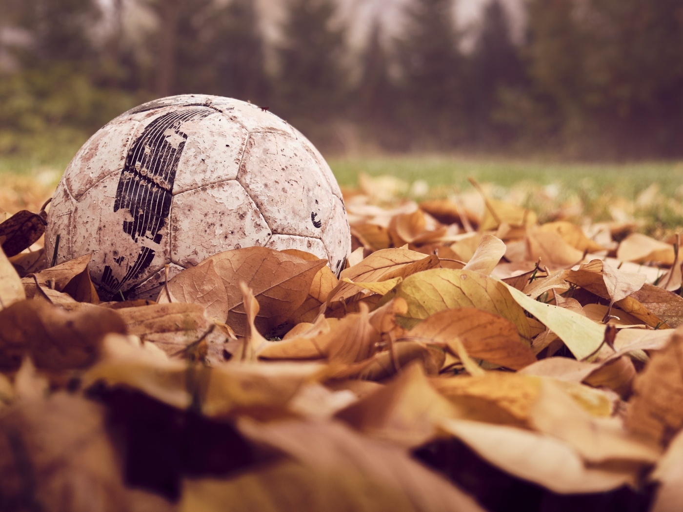 Старый футбольный мяч  в сухой листве