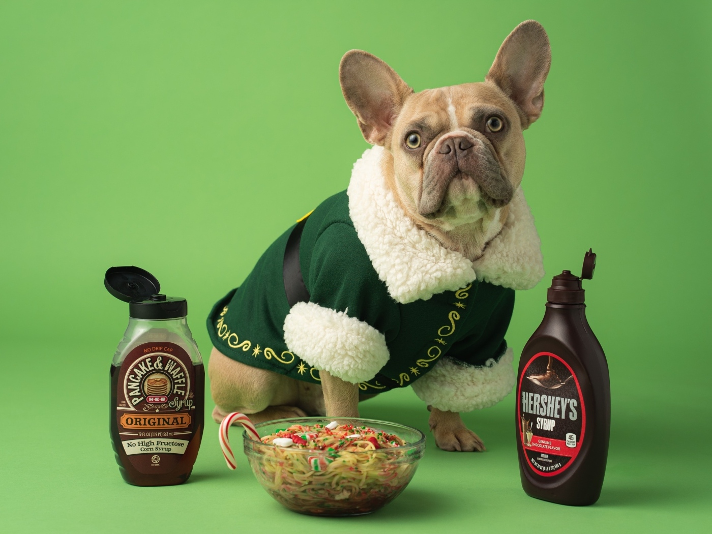 Пес французский бульдог с едой на зеленом фоне