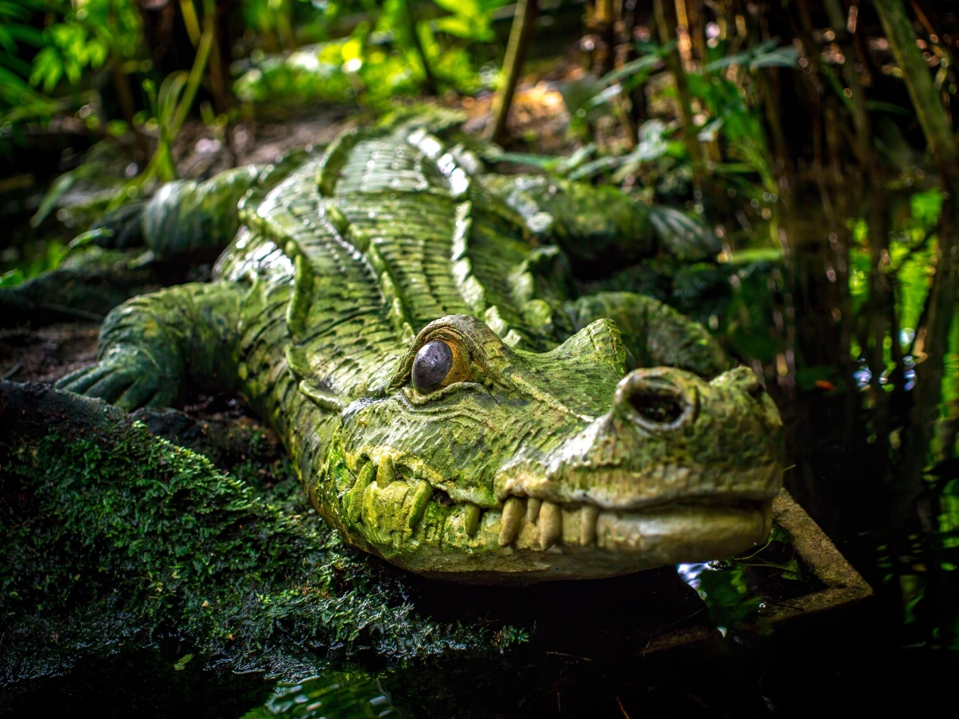 Большой зеленый крокодил у воды