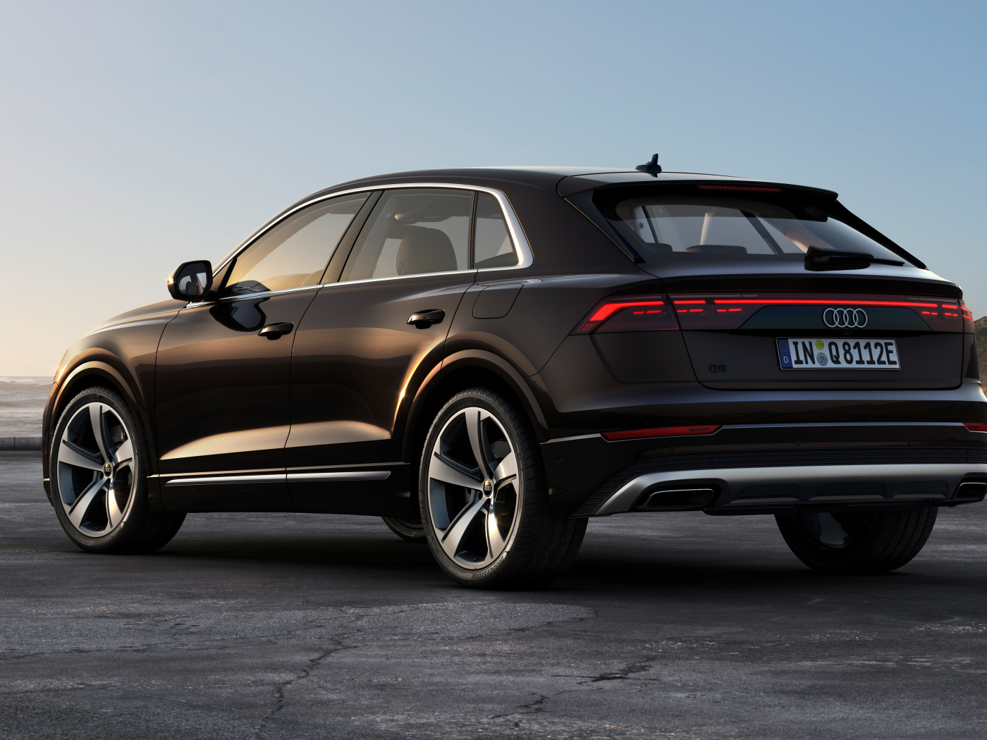 Вид сзади на черный автомобиль Audi Q8 55 TFSI E Quattro 2024 года