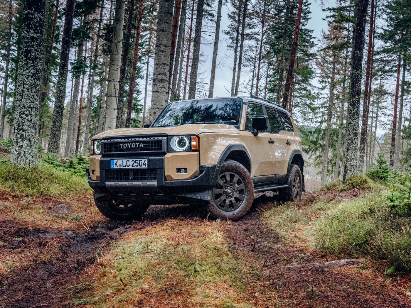 Внедорожник Toyota Land Cruiser First Edition в лесу