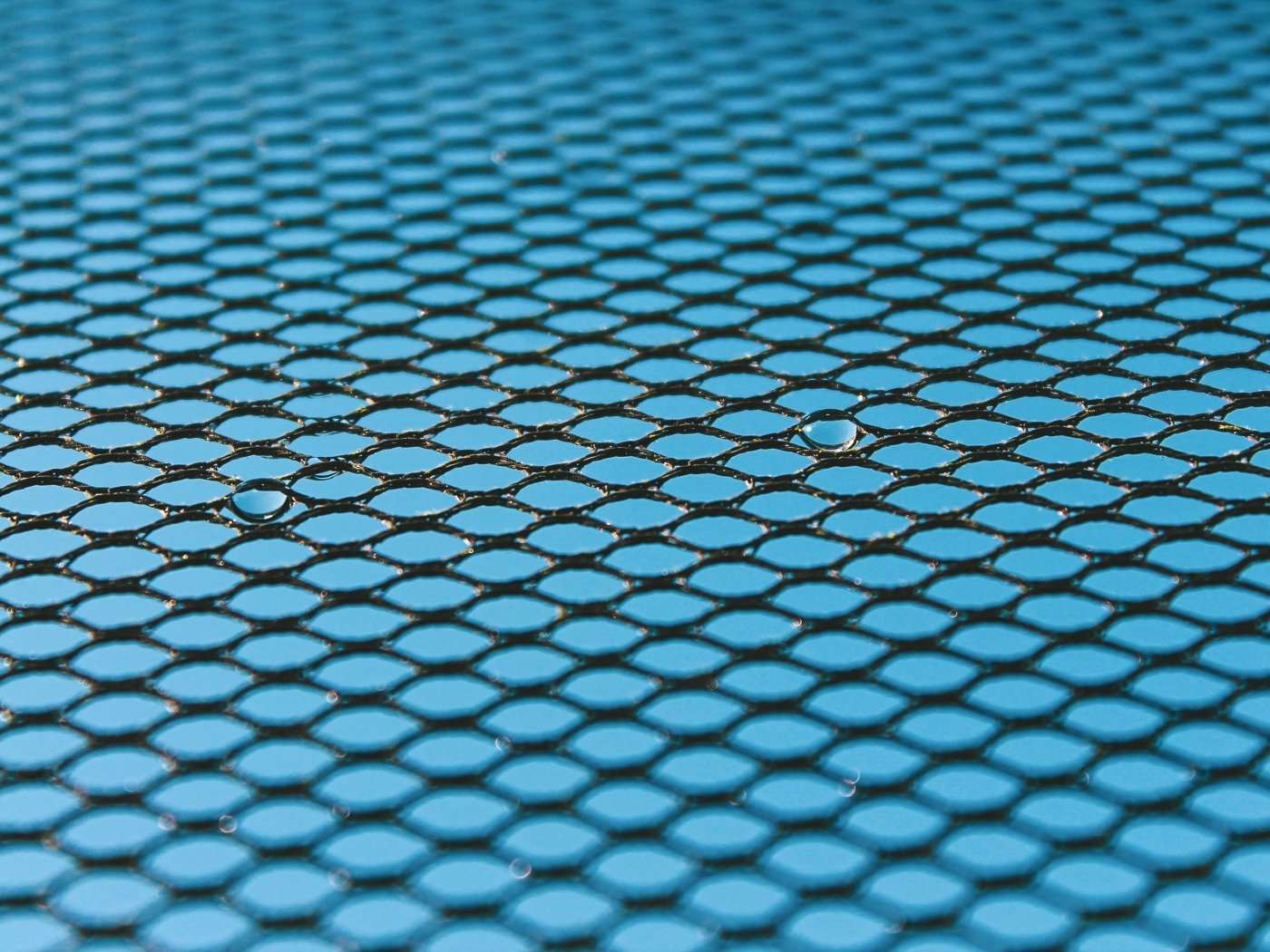 Черная сетка на голубом для фона