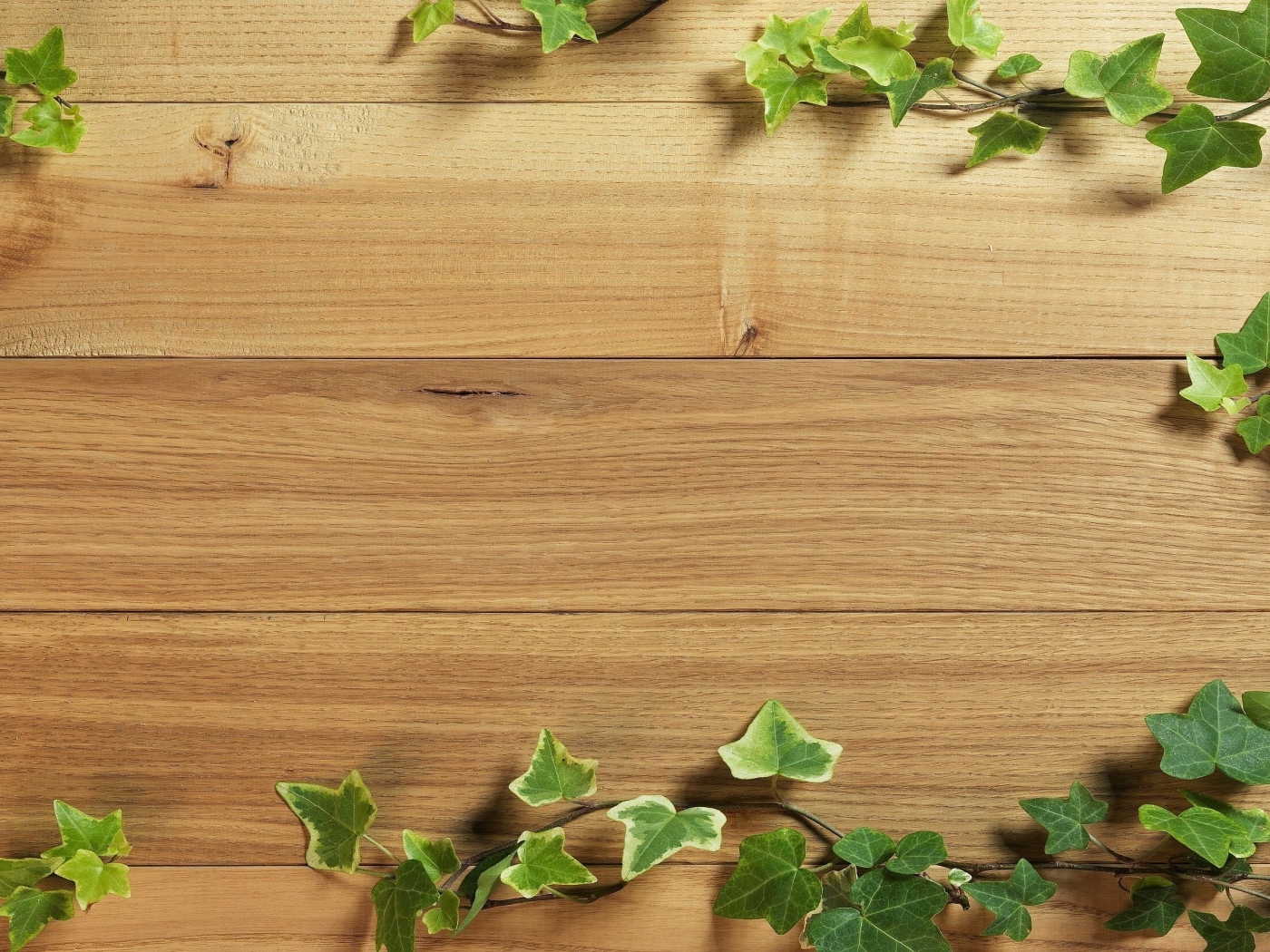 Деревянный фон с листьями плюща