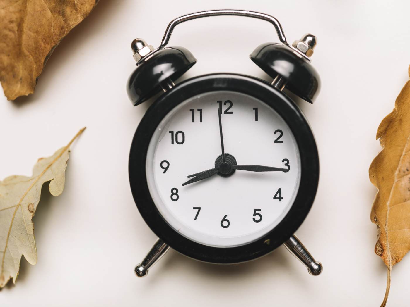Большой черный будильник на белом фоне с листвой