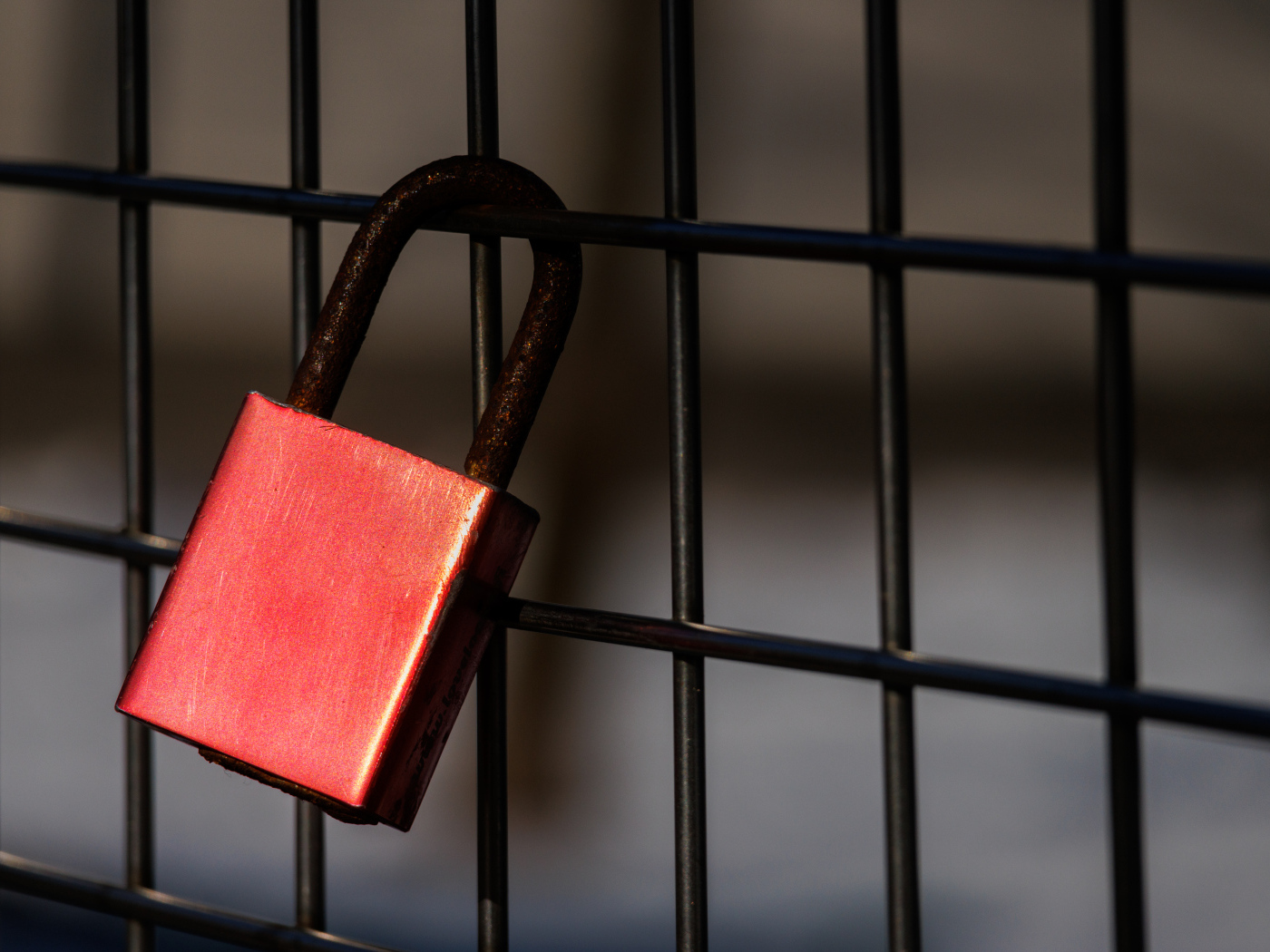 Красный замок на сетке 