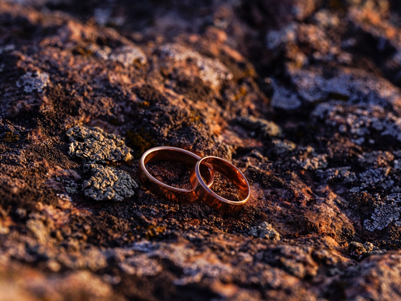 Два обручальных кольца на земле