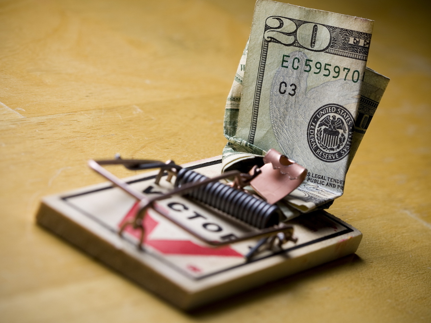 Купюра доллара в мышеловке