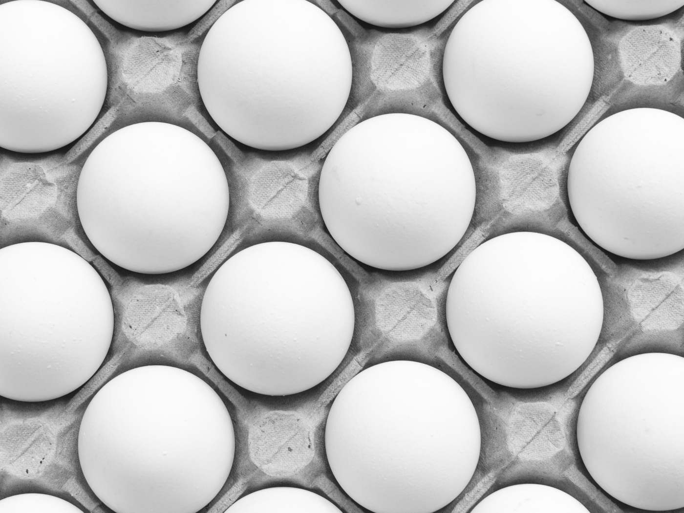 Много белых яиц в подставке на столе