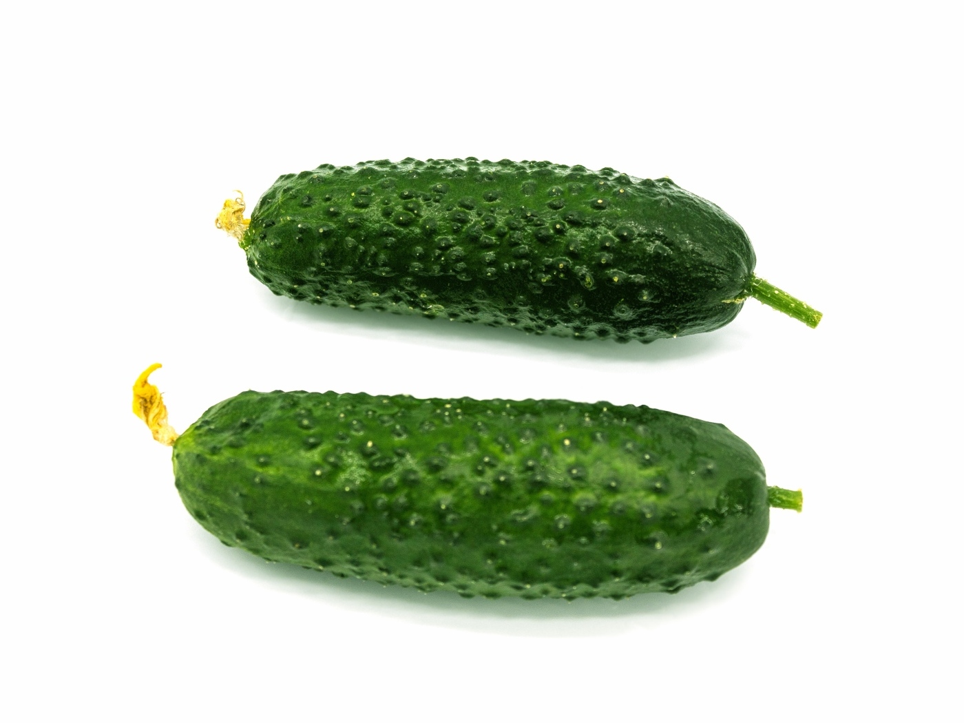 Два зеленых огурца на белом фоне