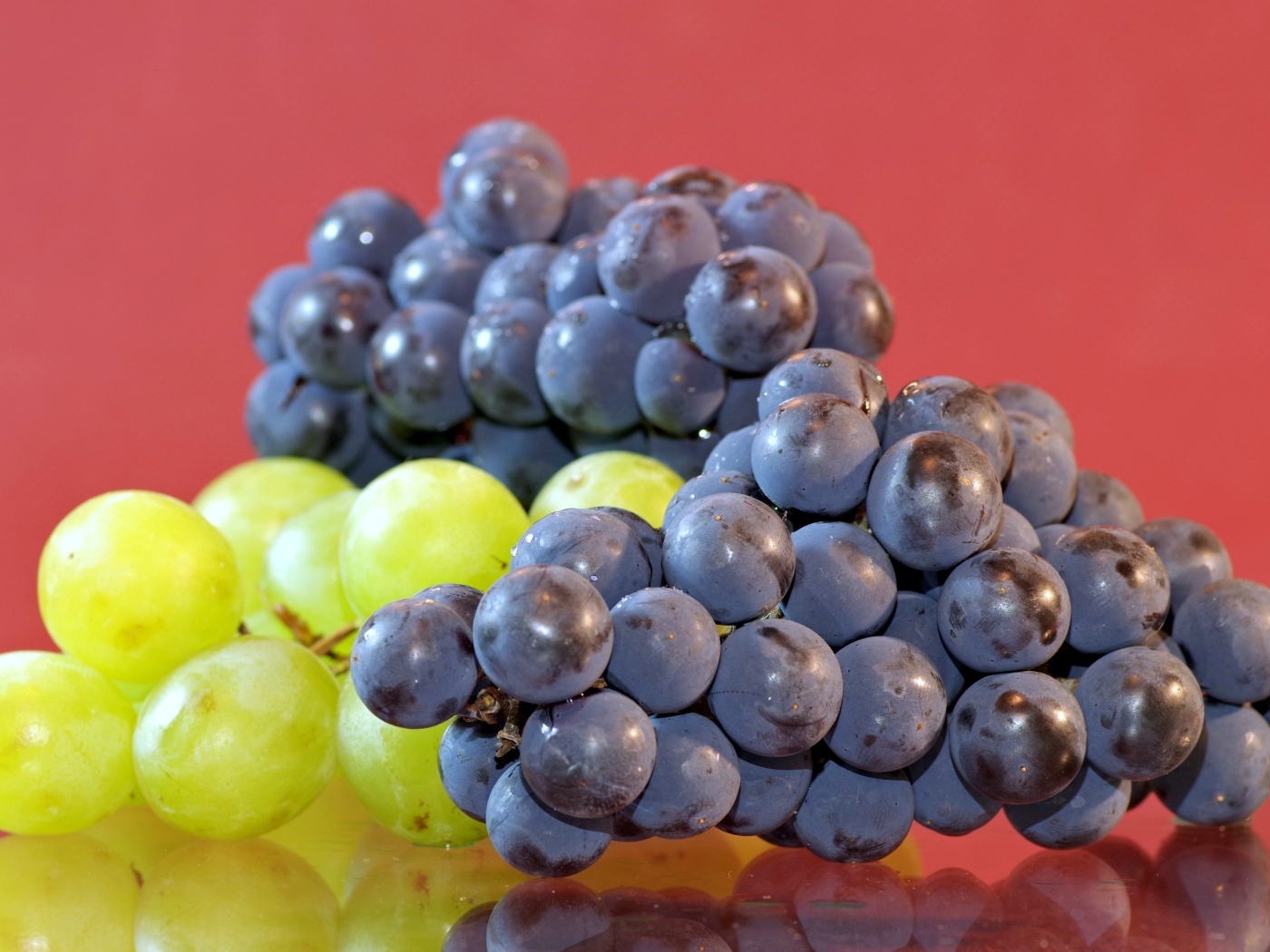 Синий и зеленый виноград на красном фоне
