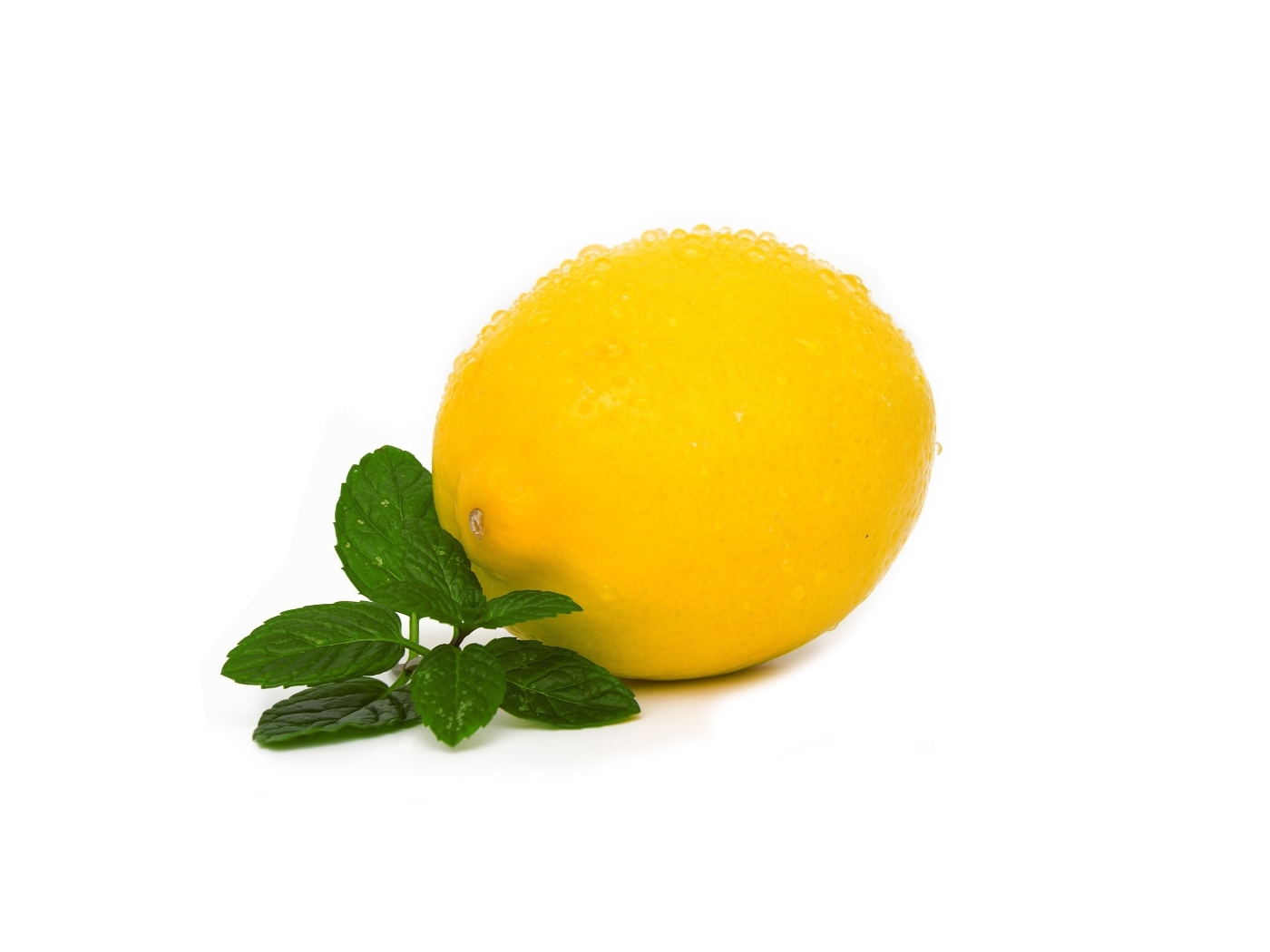 Лимон с листьями мяты на белом фоне