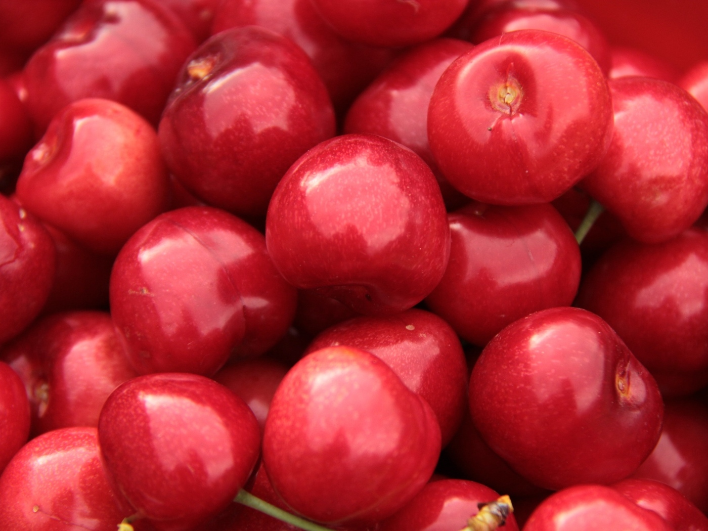 Спелые красные черешни крупным планом
