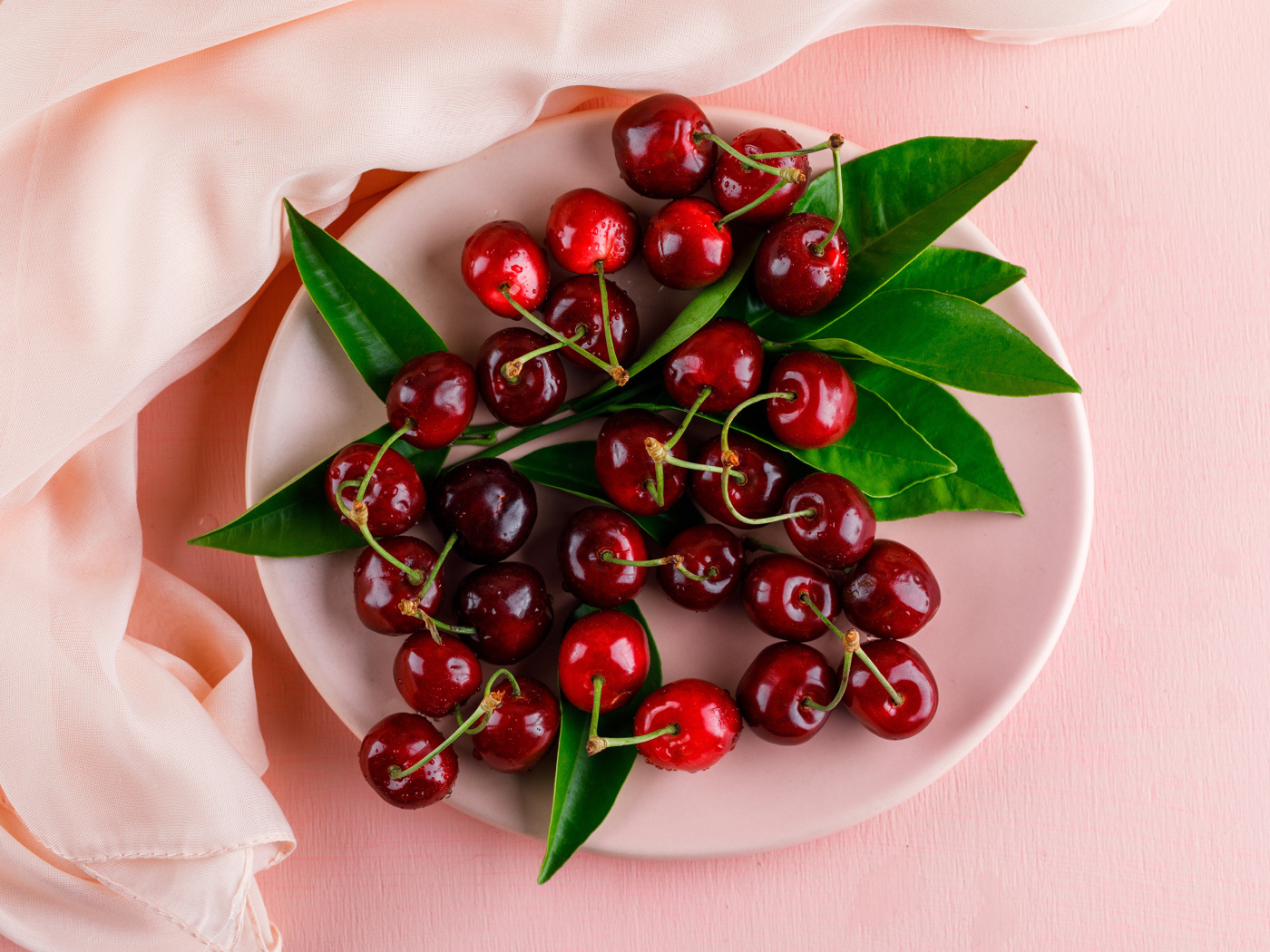 Белая тарелка с красными ягодами черешни на розовом фоне