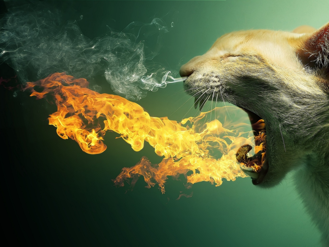 Рыжий кот извергает пламя на зеленом фоне