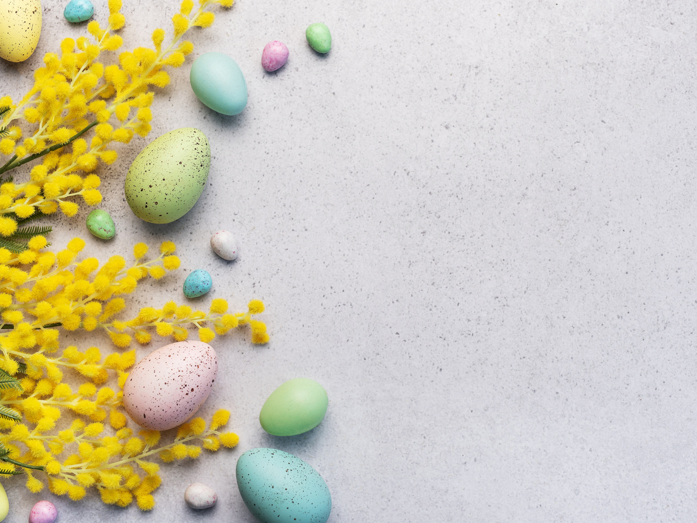 Разноцветные пасхальные яйца с веточками мимозы