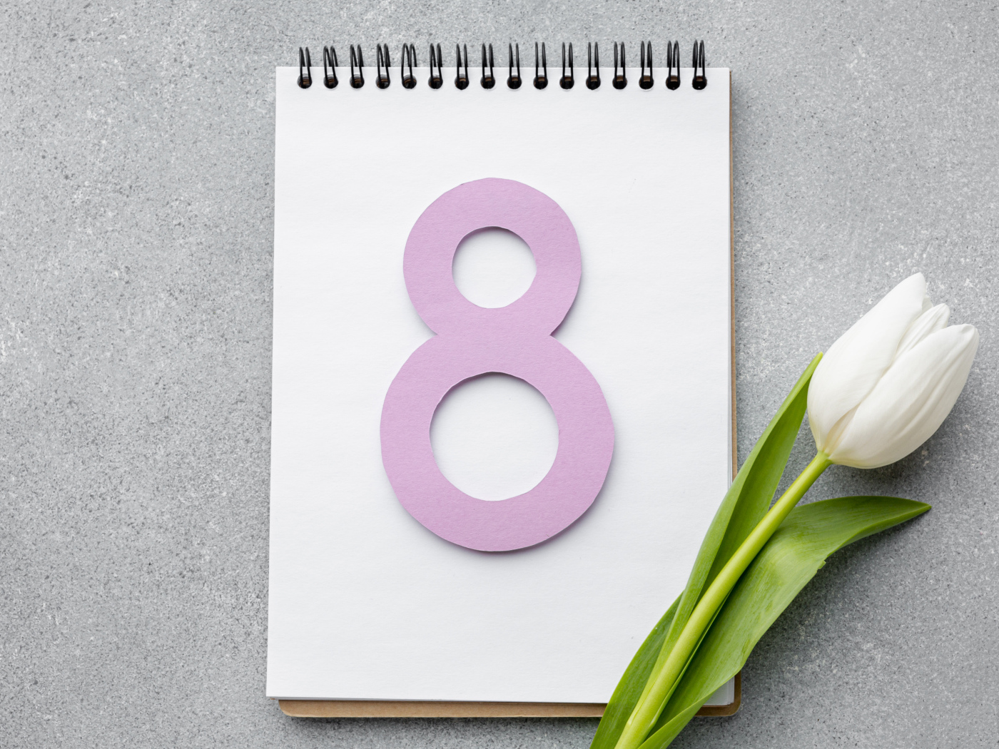 Розовая цифра 8 на блокноте с белым тюльпаном на Международный женский день 