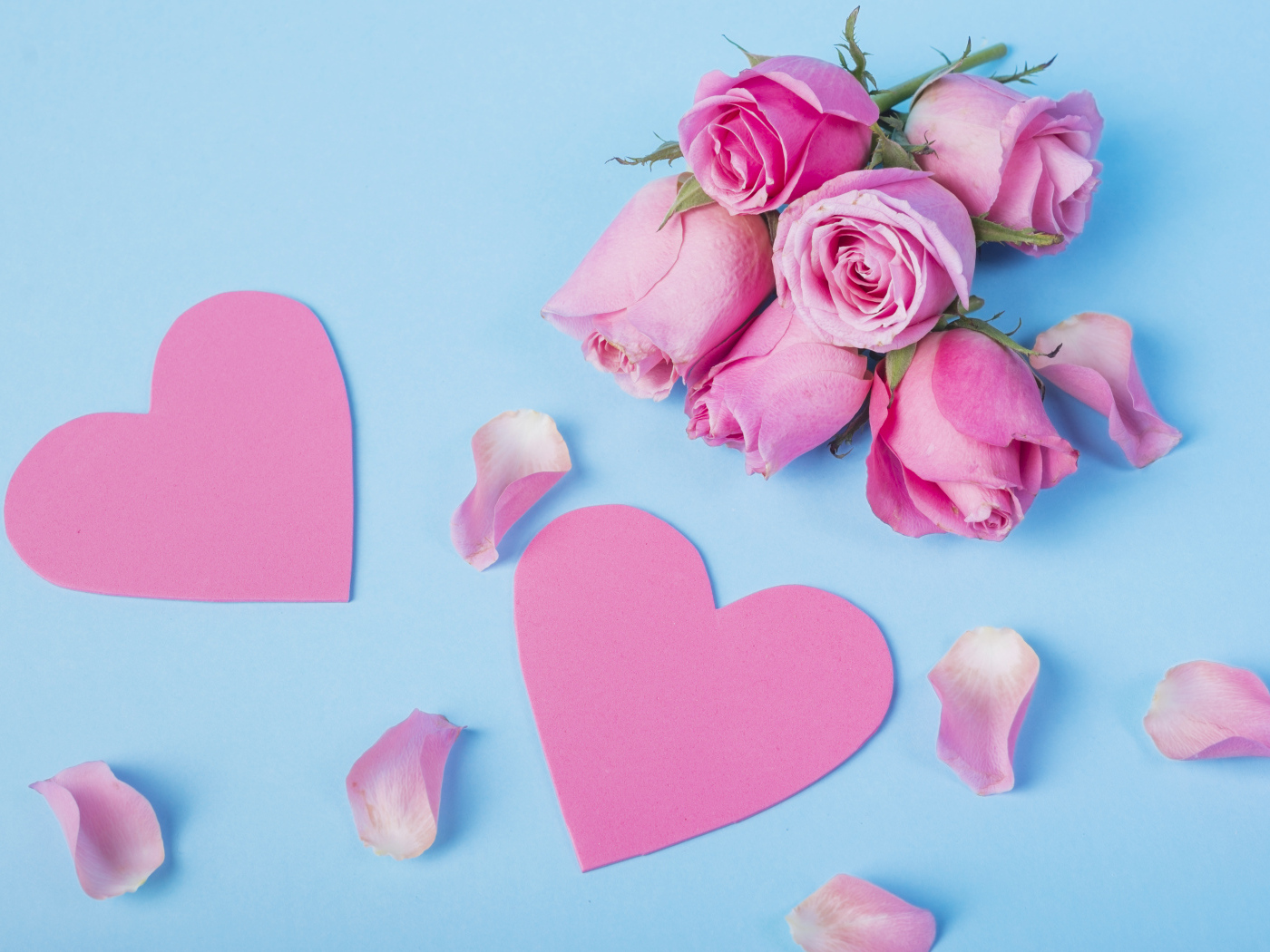 Розовые сердечки и цветы розы на голубом фоне