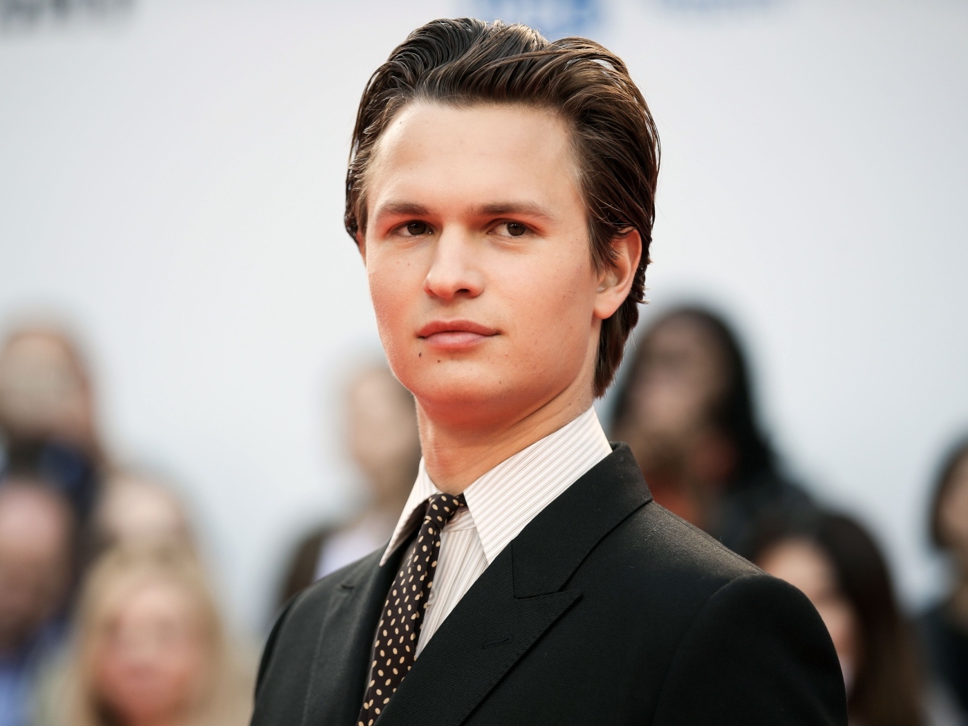 Стильный молодой актер Энсел Эльгорт в костюме