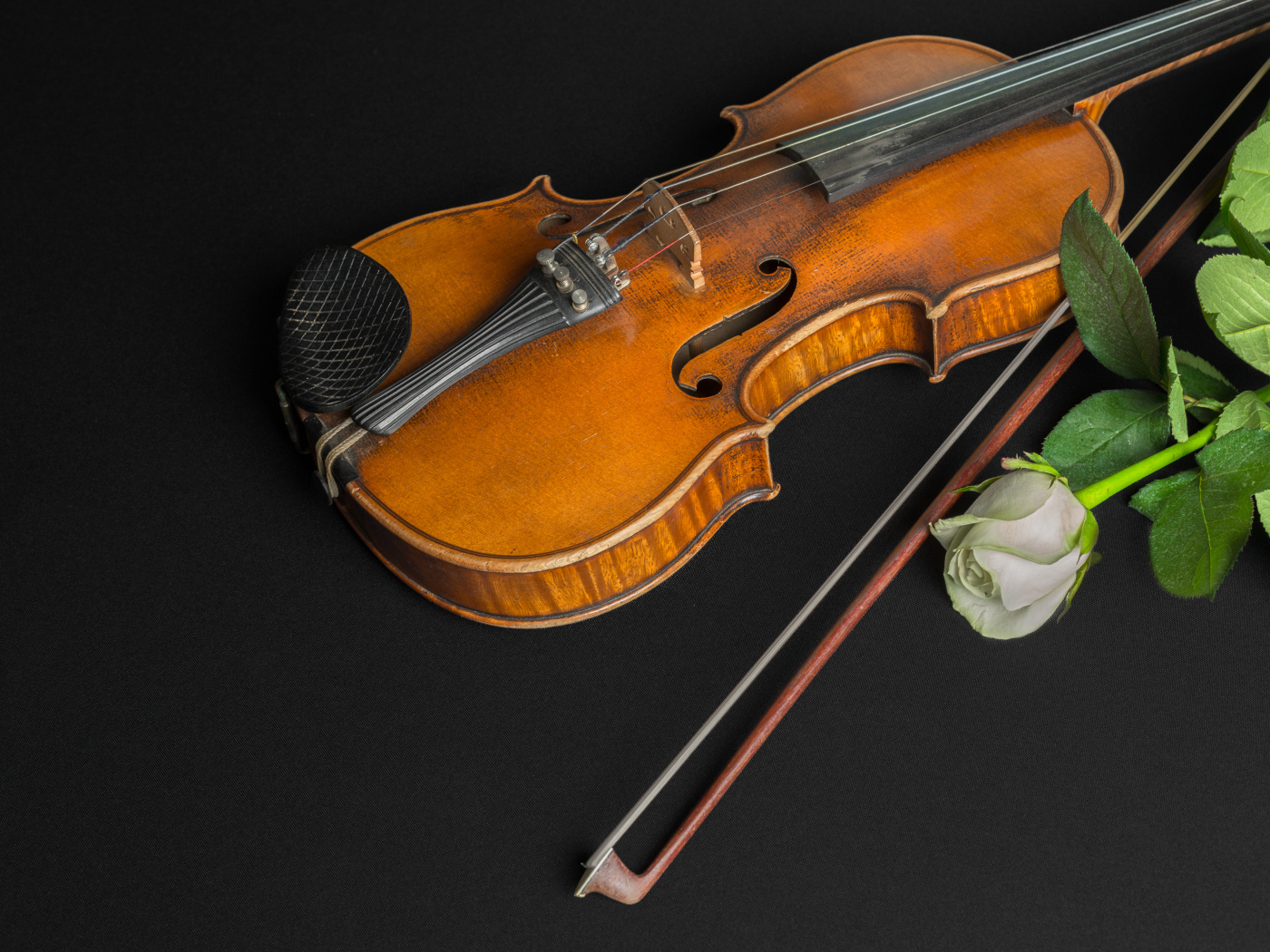 Wooden violin with white rose on a black table