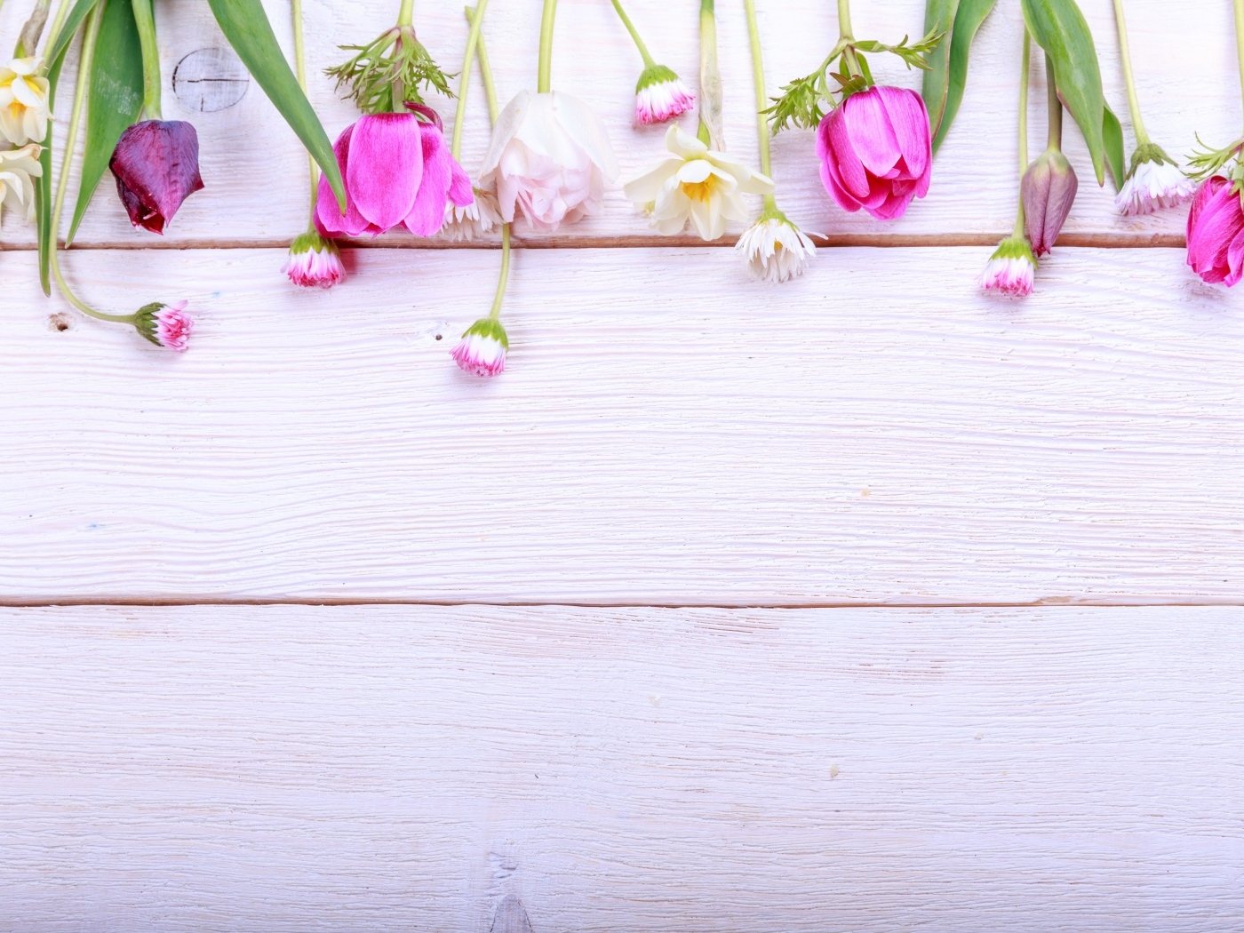 Красивые разноцветные весенние цветы на деревянном фоне