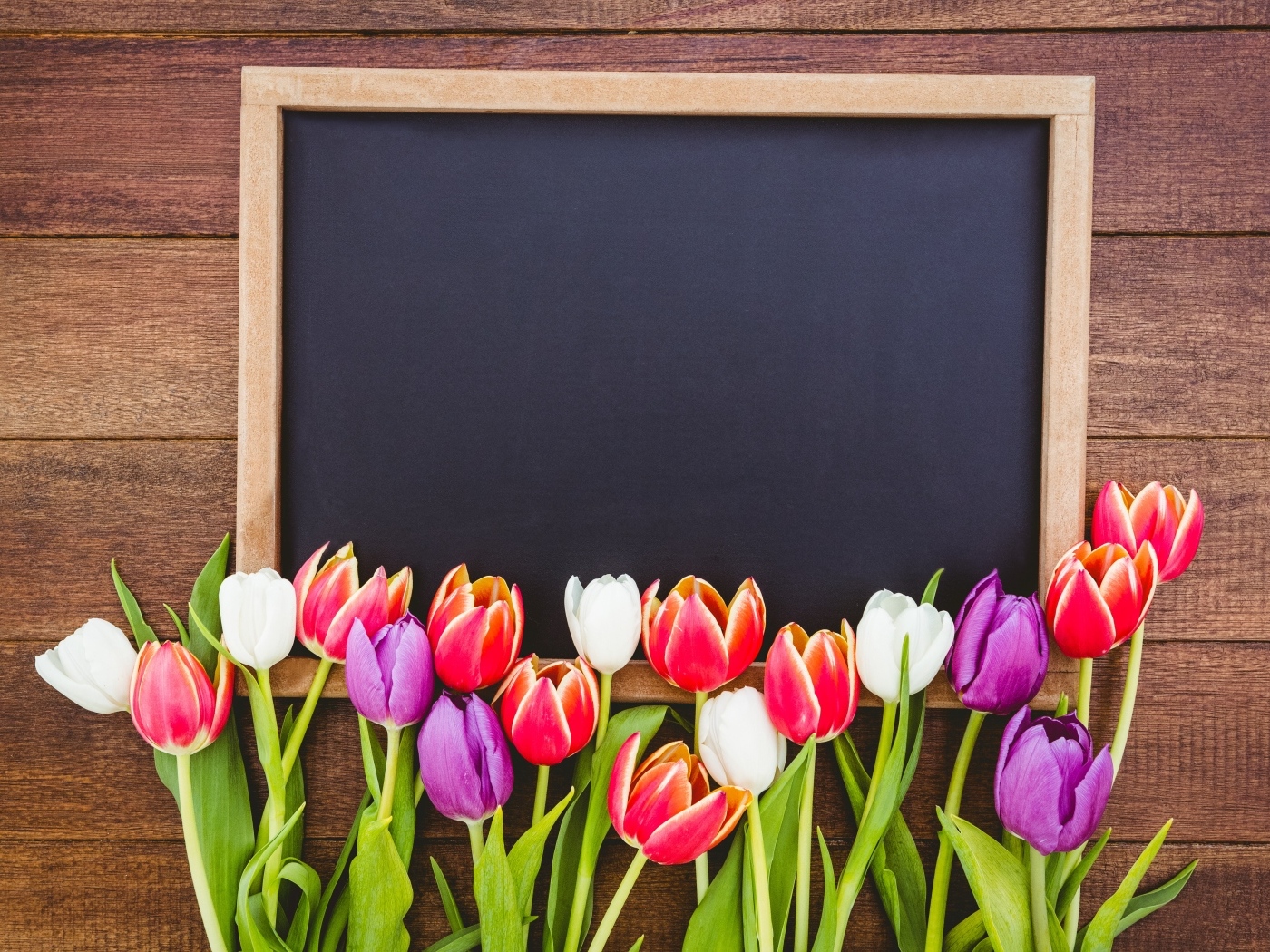 Красивые разноцветные тюльпаны с рамкой на деревянном столе