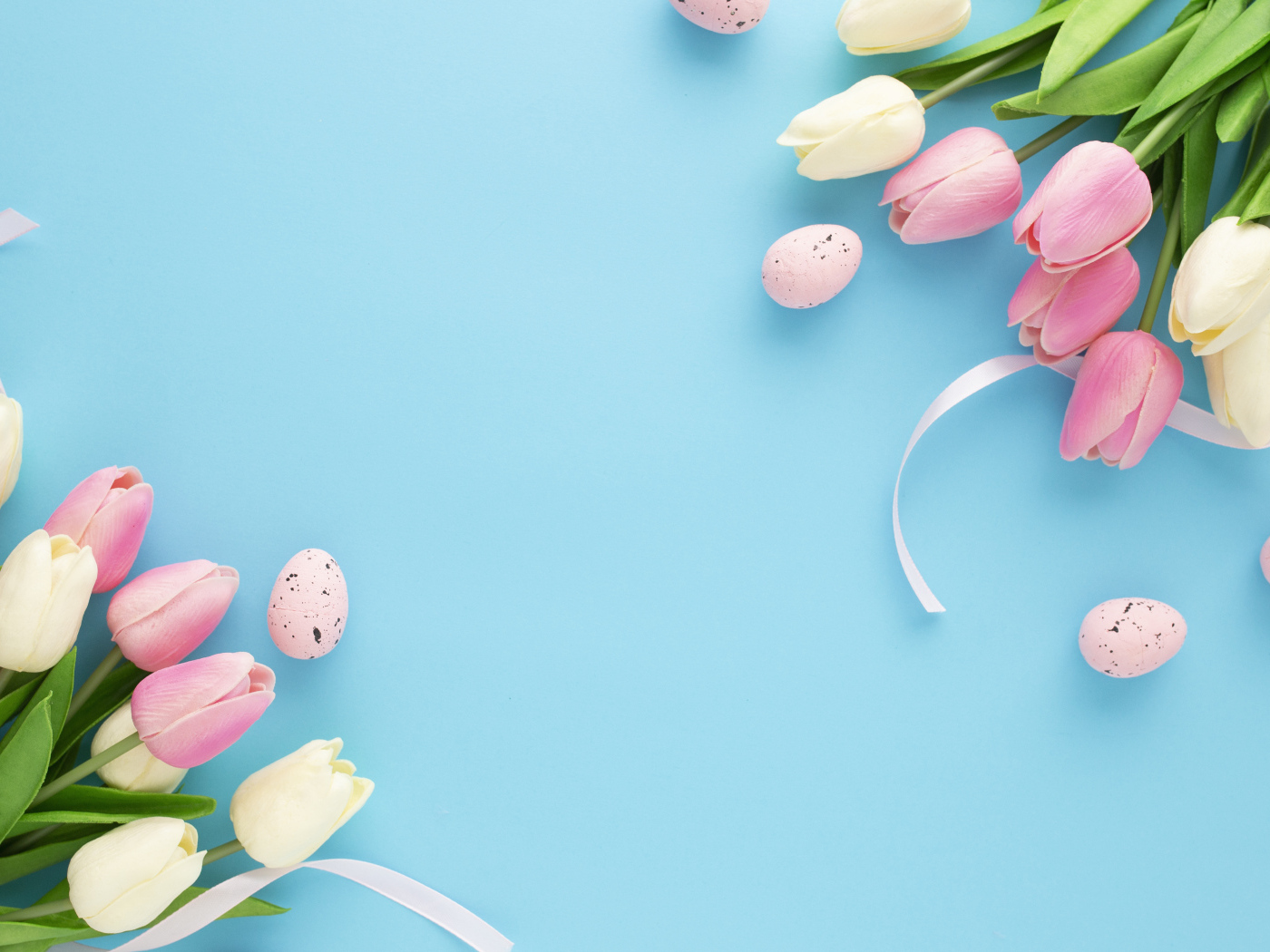 Красивые тюльпаны с яйцами на голубом фоне