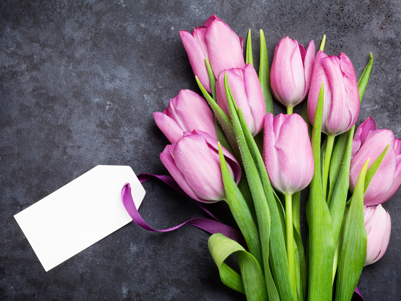 Букет розовых тюльпанов с открыткой на сером фоне