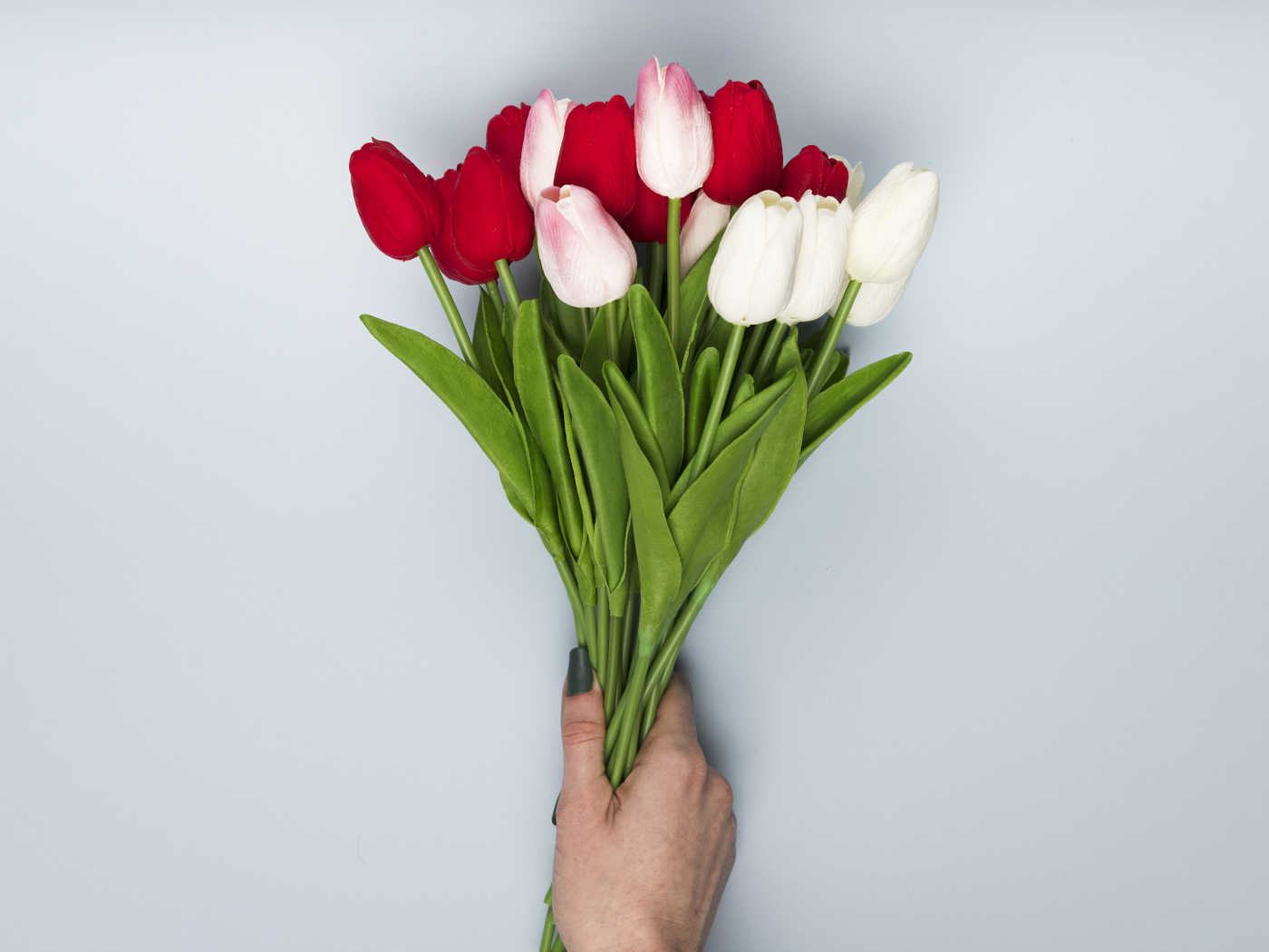 Букет белых и красных цветов тюльпана на сером фоне