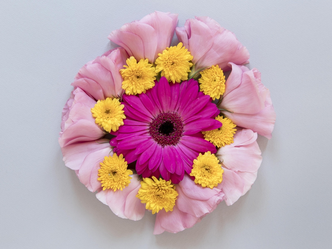 Круг из нежных цветов на сером фоне