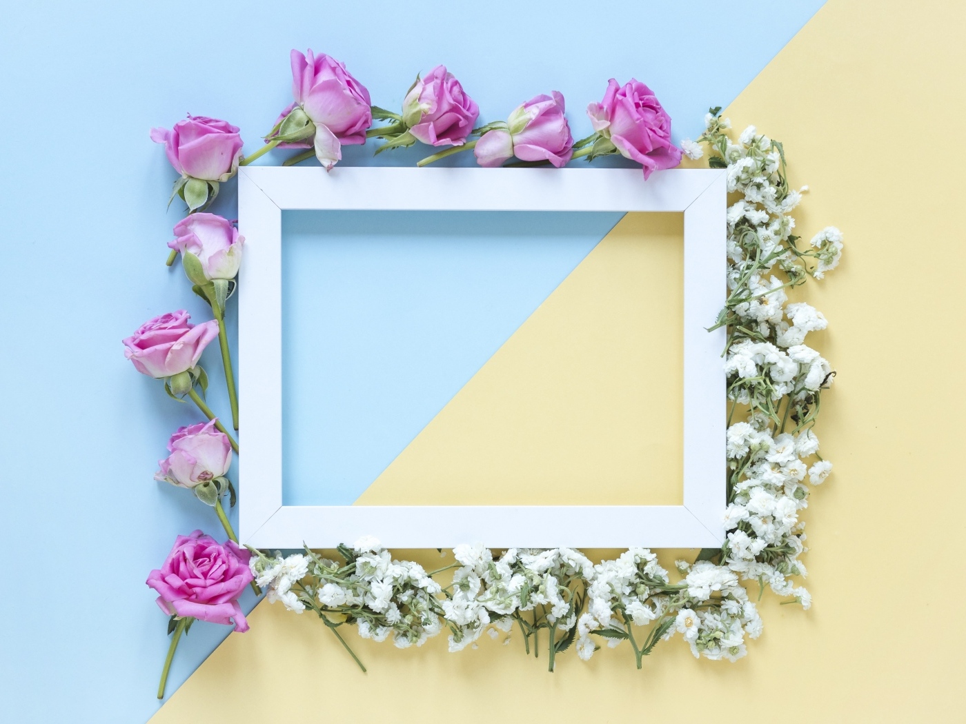 Рамка с цветами розы и гипсофилы 