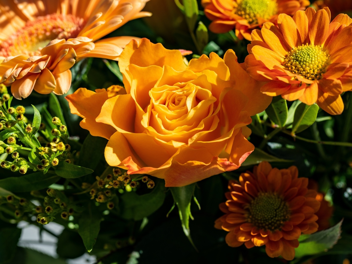 Оранжевые розы и хризантемы крупным планом