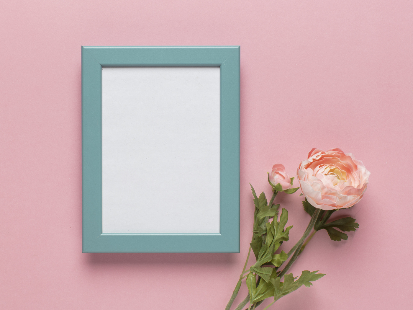 Рамка для фото с цветком лютика на розовом фоне, шаблон