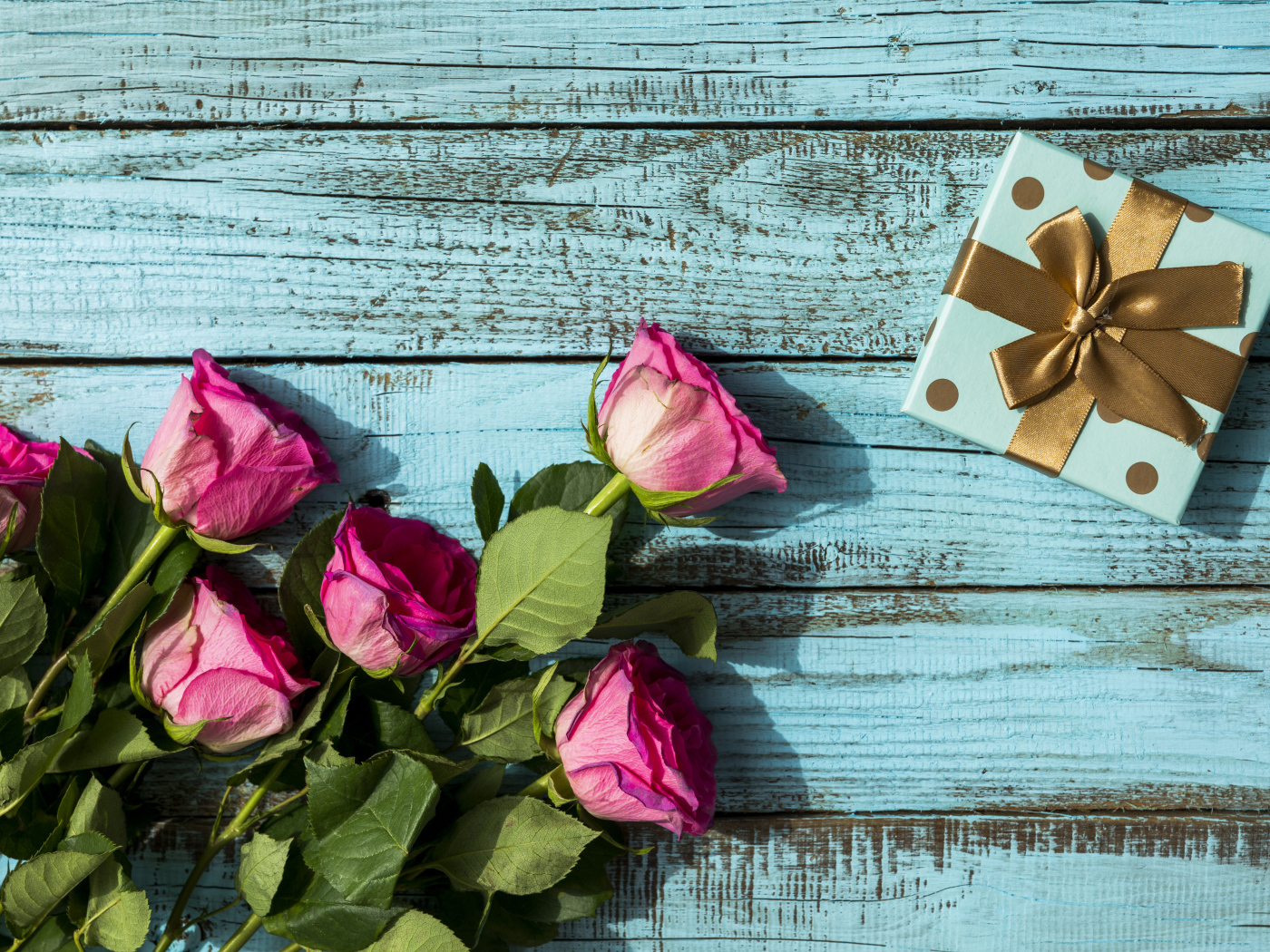 Розовые розы с подарком на голубом фоне на день рождения