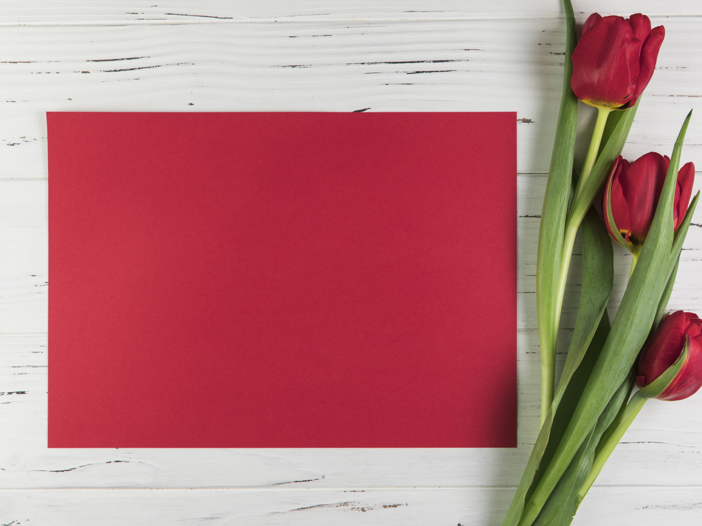 Красный лист бумаги с тюльпанами для шаблона поздравительной открытки