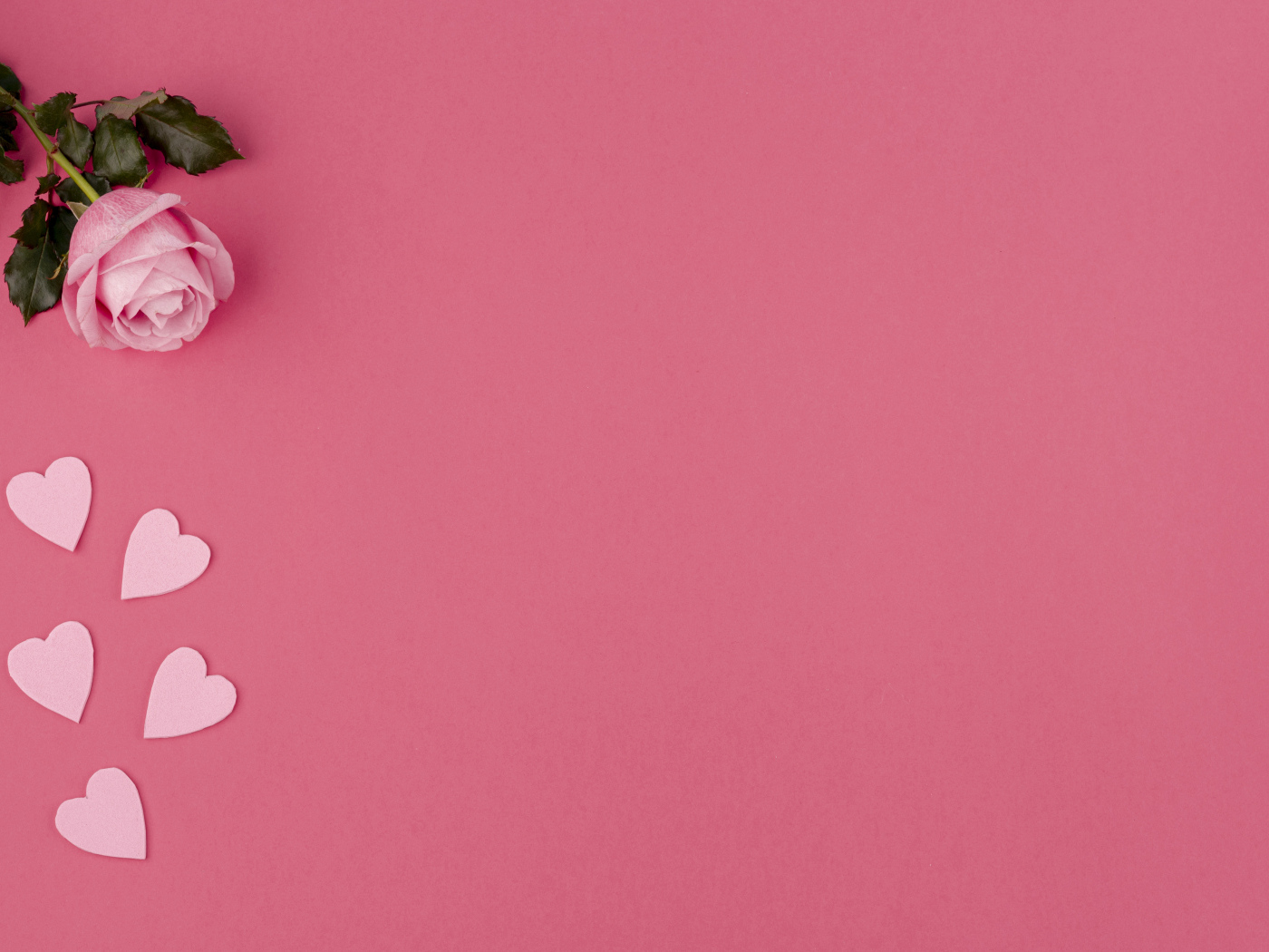 Роза с сердечками на розовом фоне, шаблон для открытки