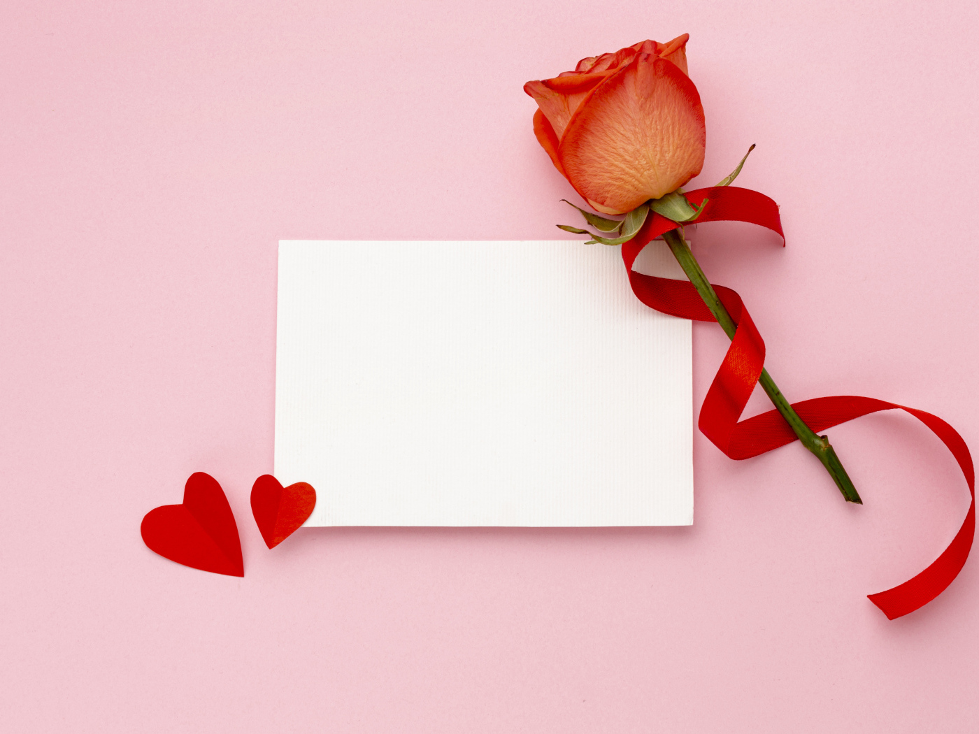 Роза с лентой и листом бумаги на розовом фоне, шаблон открытки