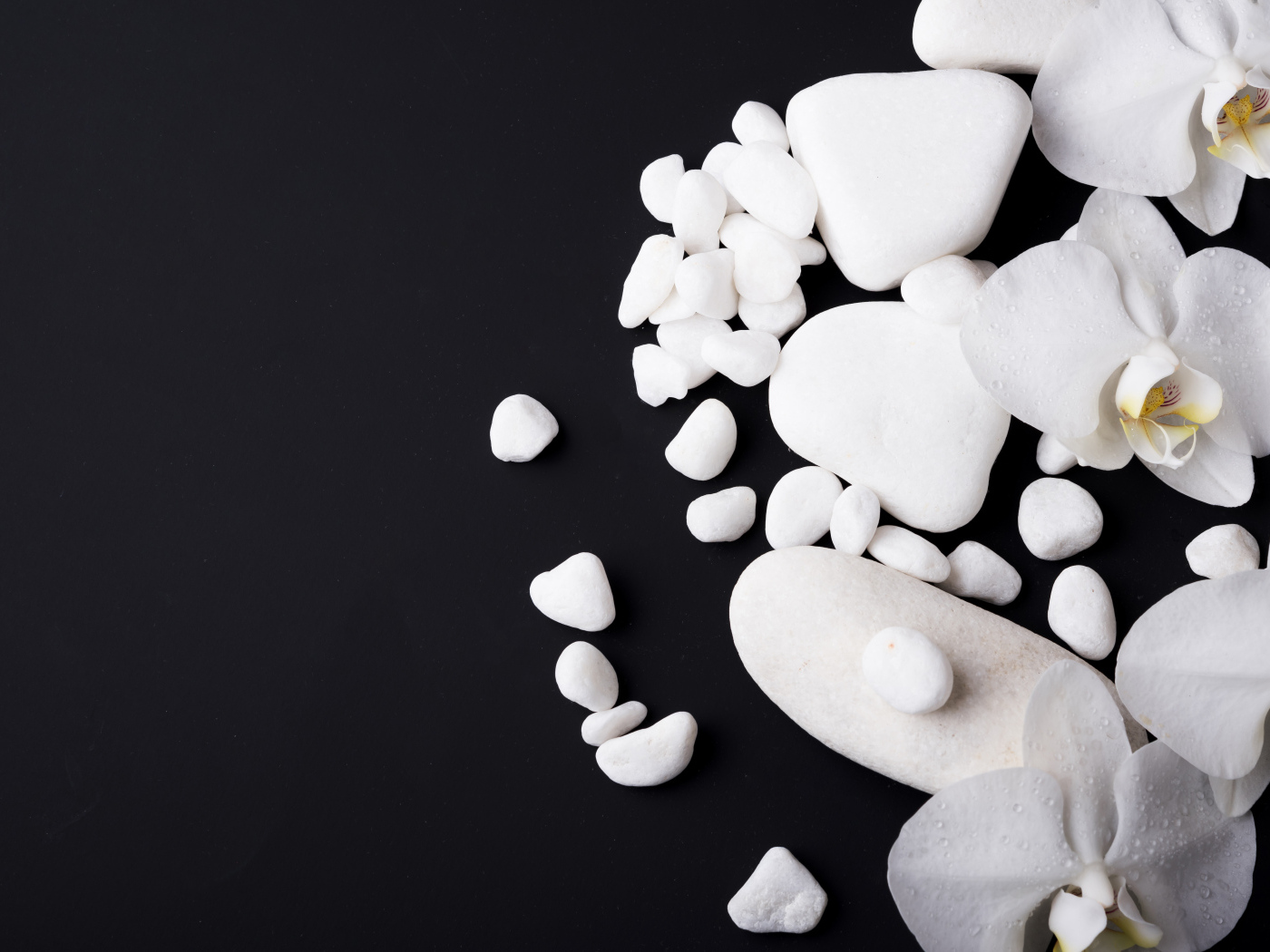 Белые орхидеи с камнями на черном фоне