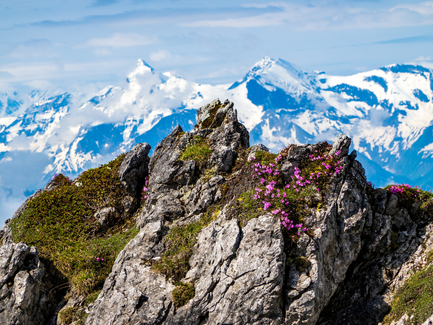 Красивый вид на высокие Австрийские Альпы