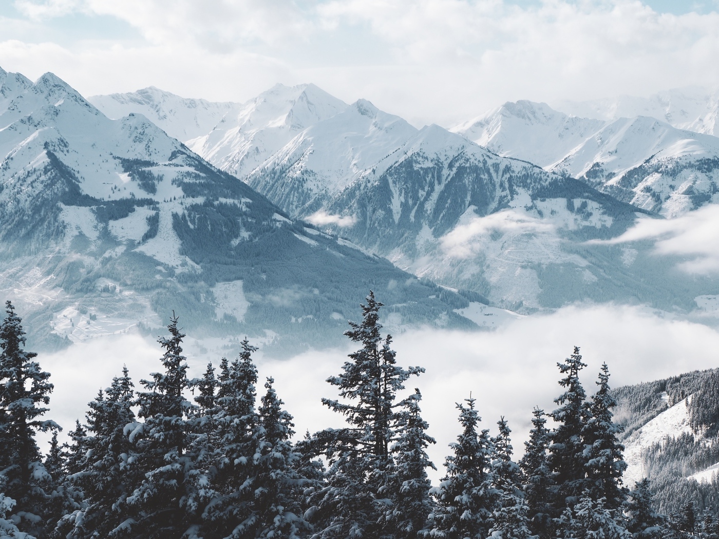 Вид на высокие заснеженные горы и лес