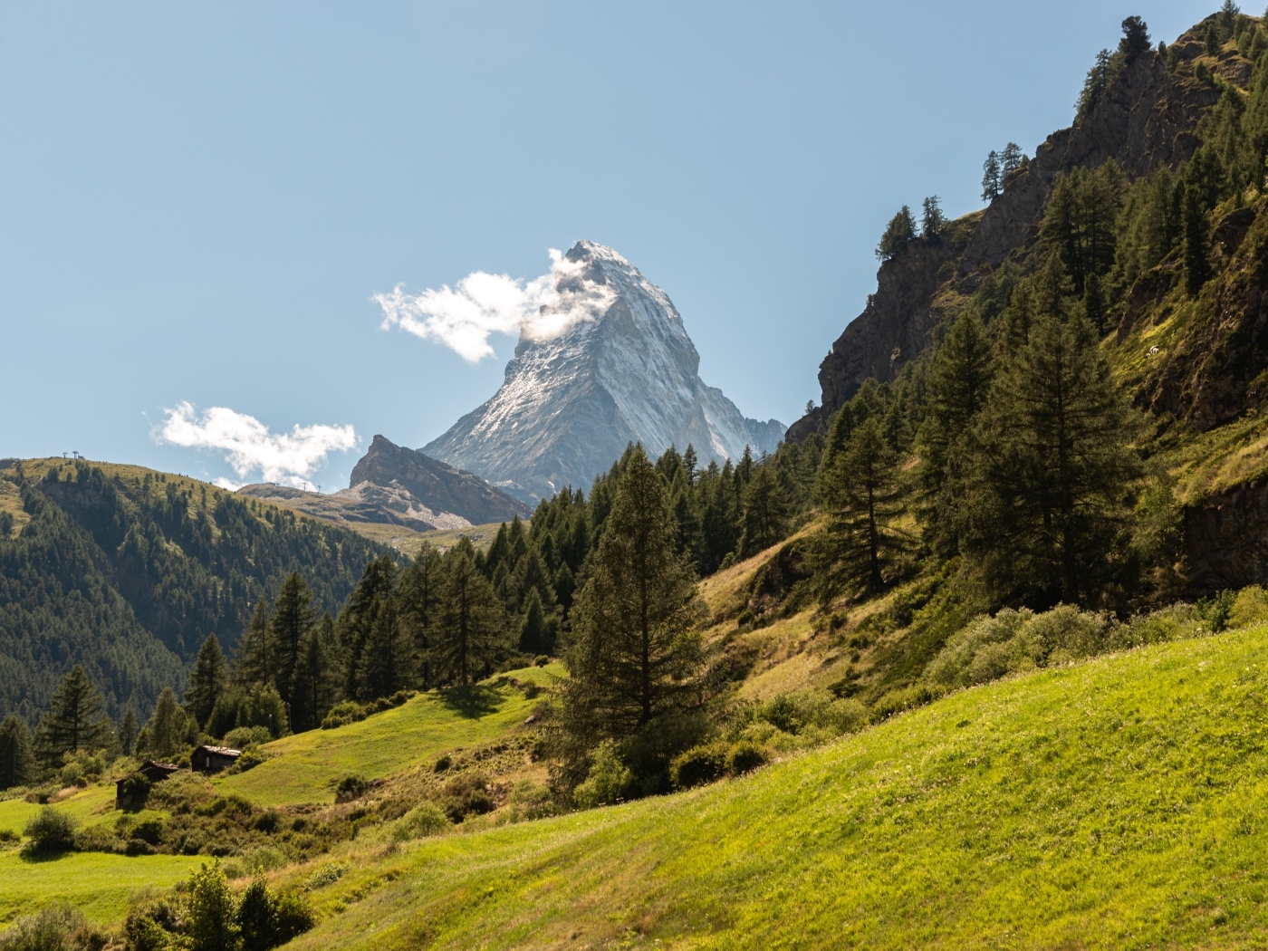 Вид на лес и высокую горную вершину