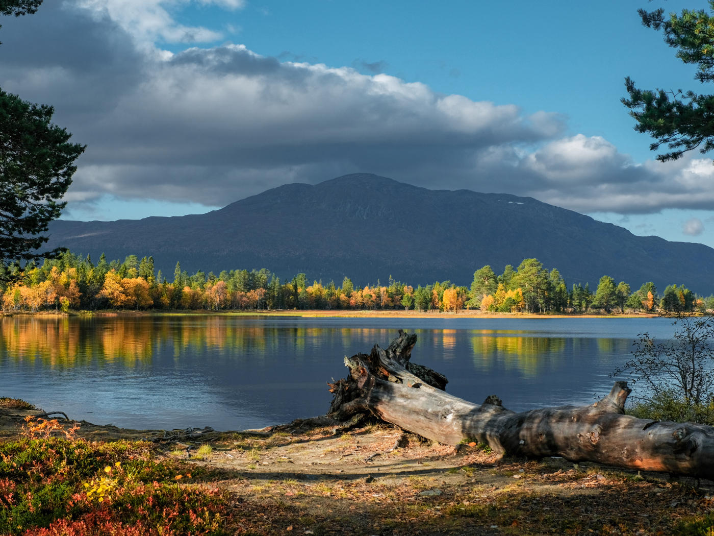Красивый вид на озеро и гору осенью