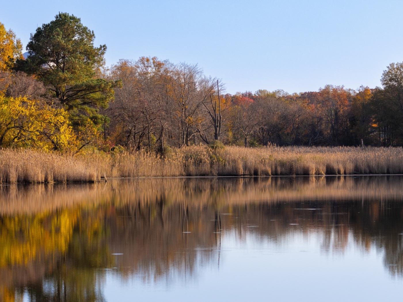Спокойное озеро в лесу осенью 