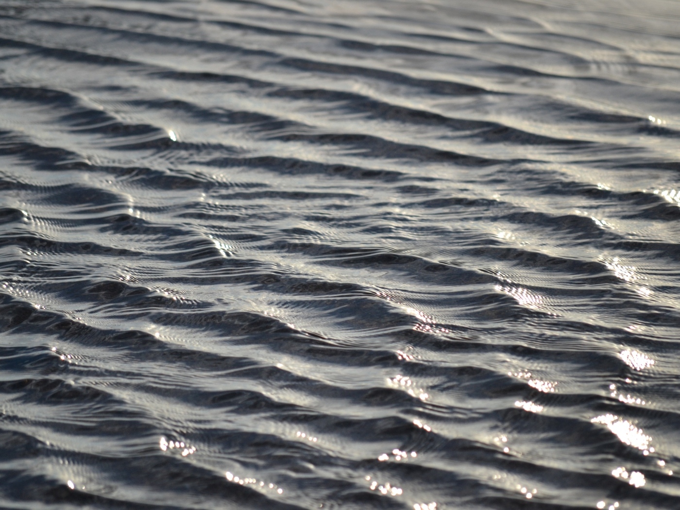 Спокойные волны на речной воде