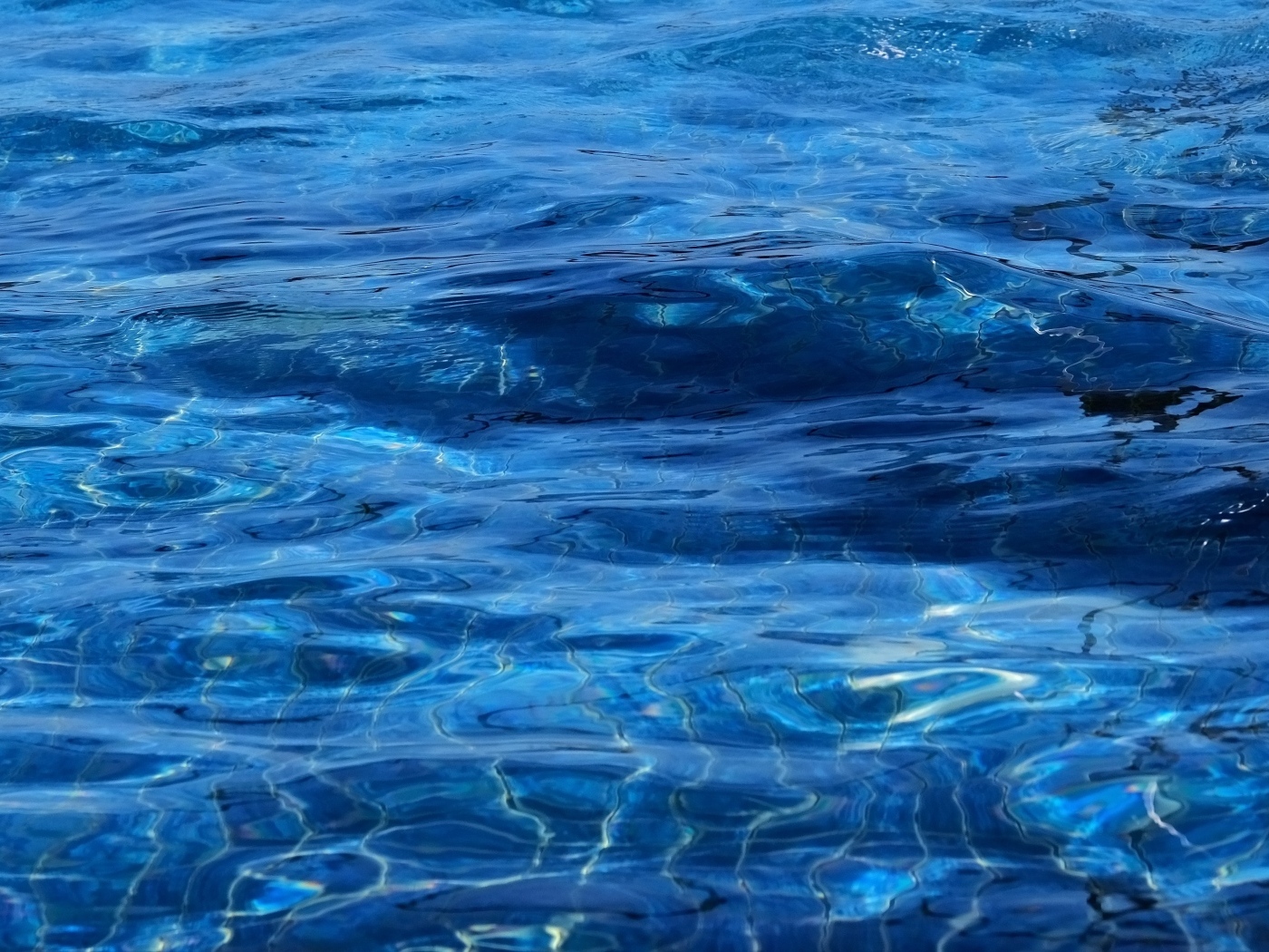 Синяя спокойная вода океана