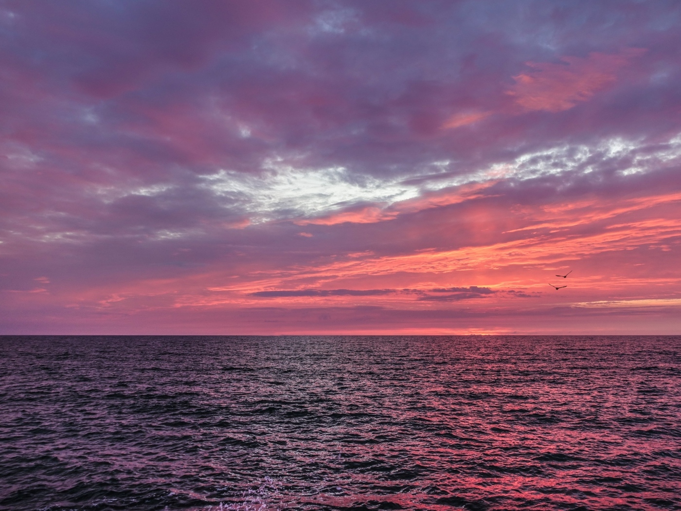 Красивый сиреневый закат над морем