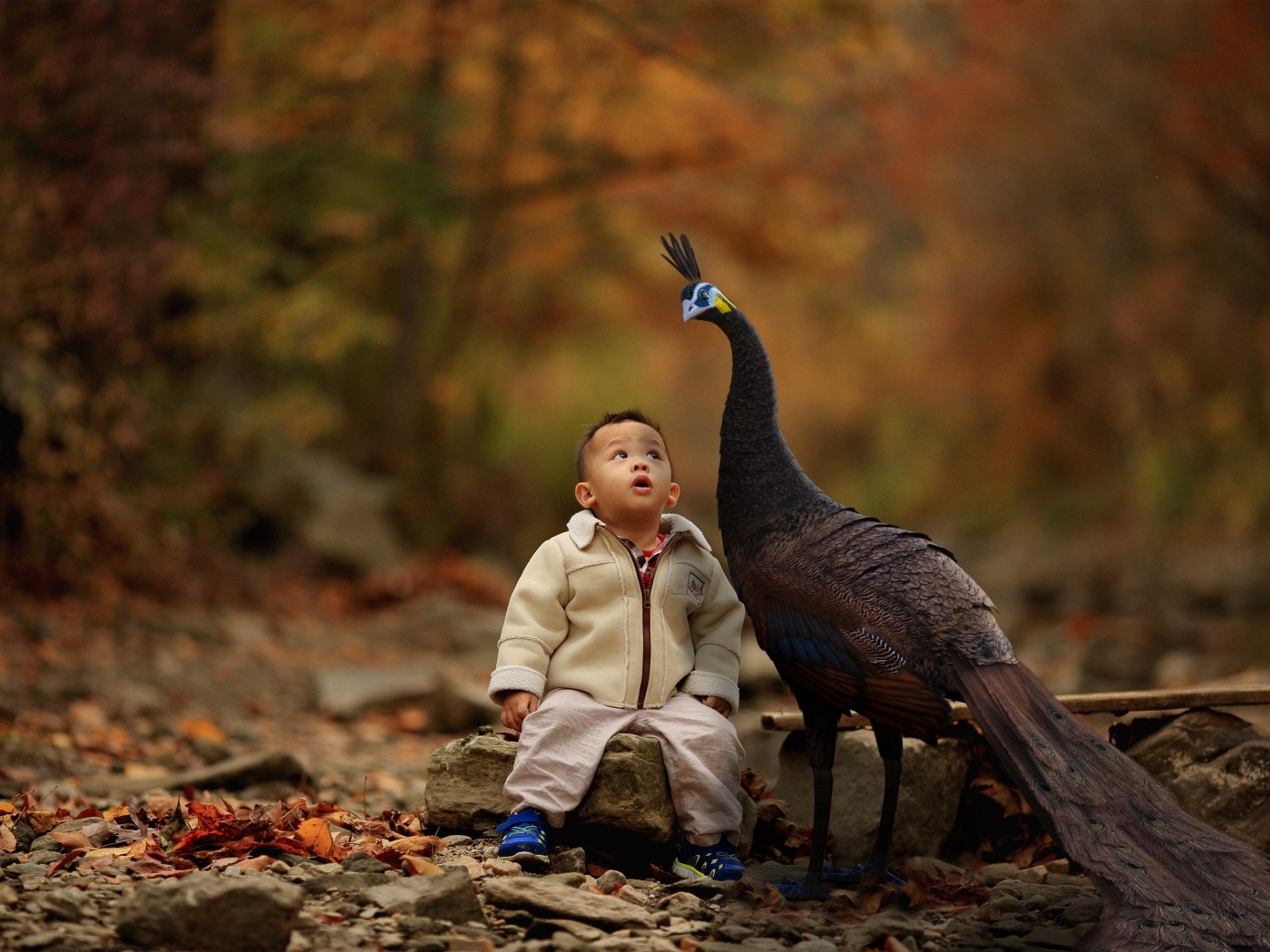 Мальчик с павлином в парке